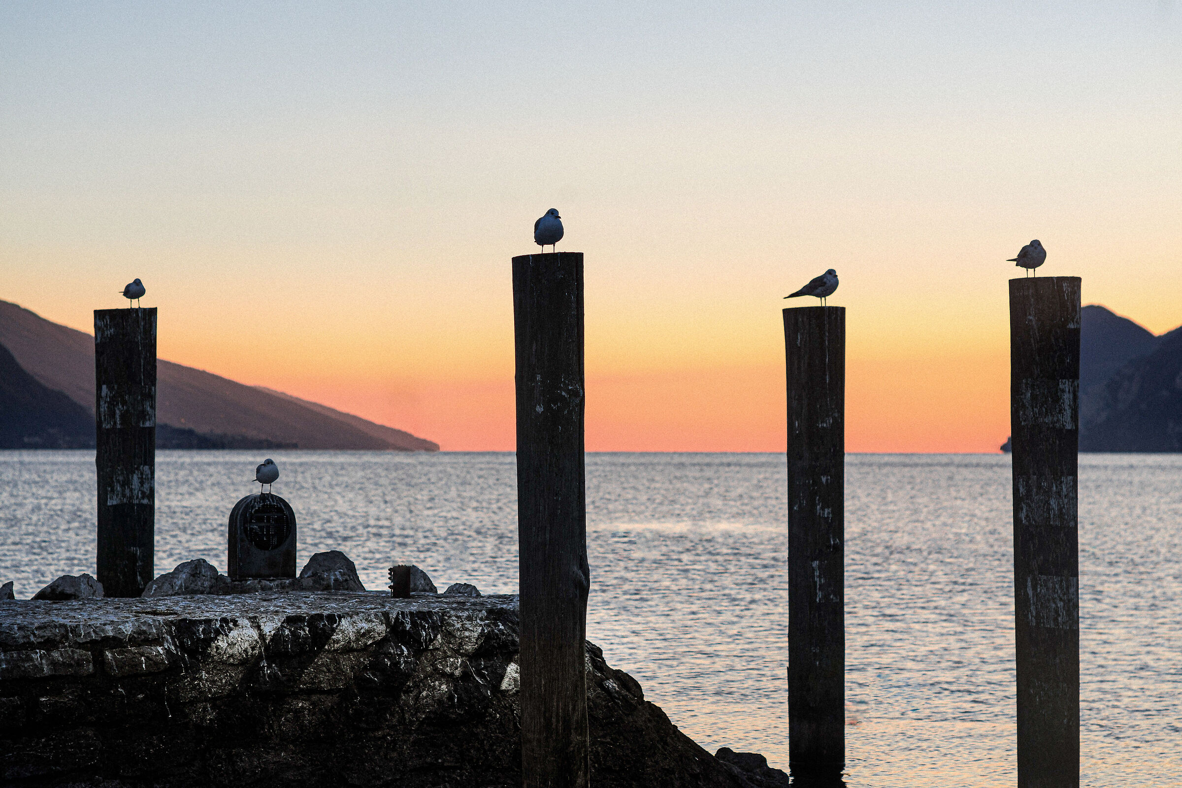 Come le note musicali