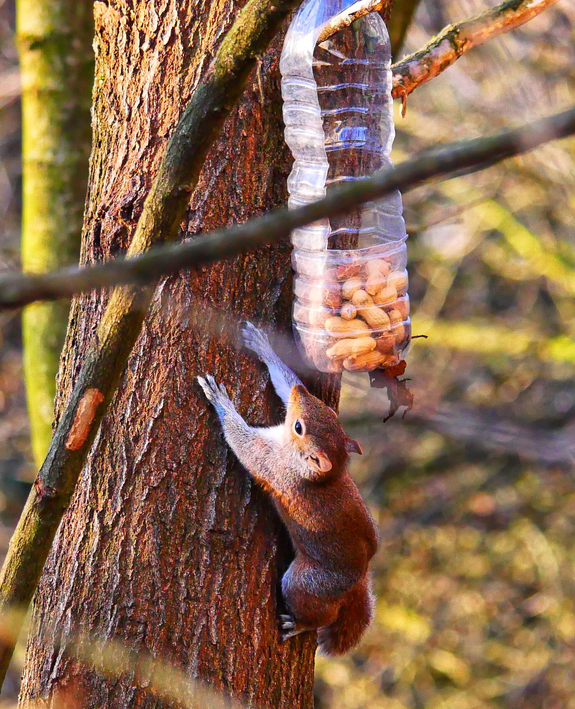 È arrivata finalmente