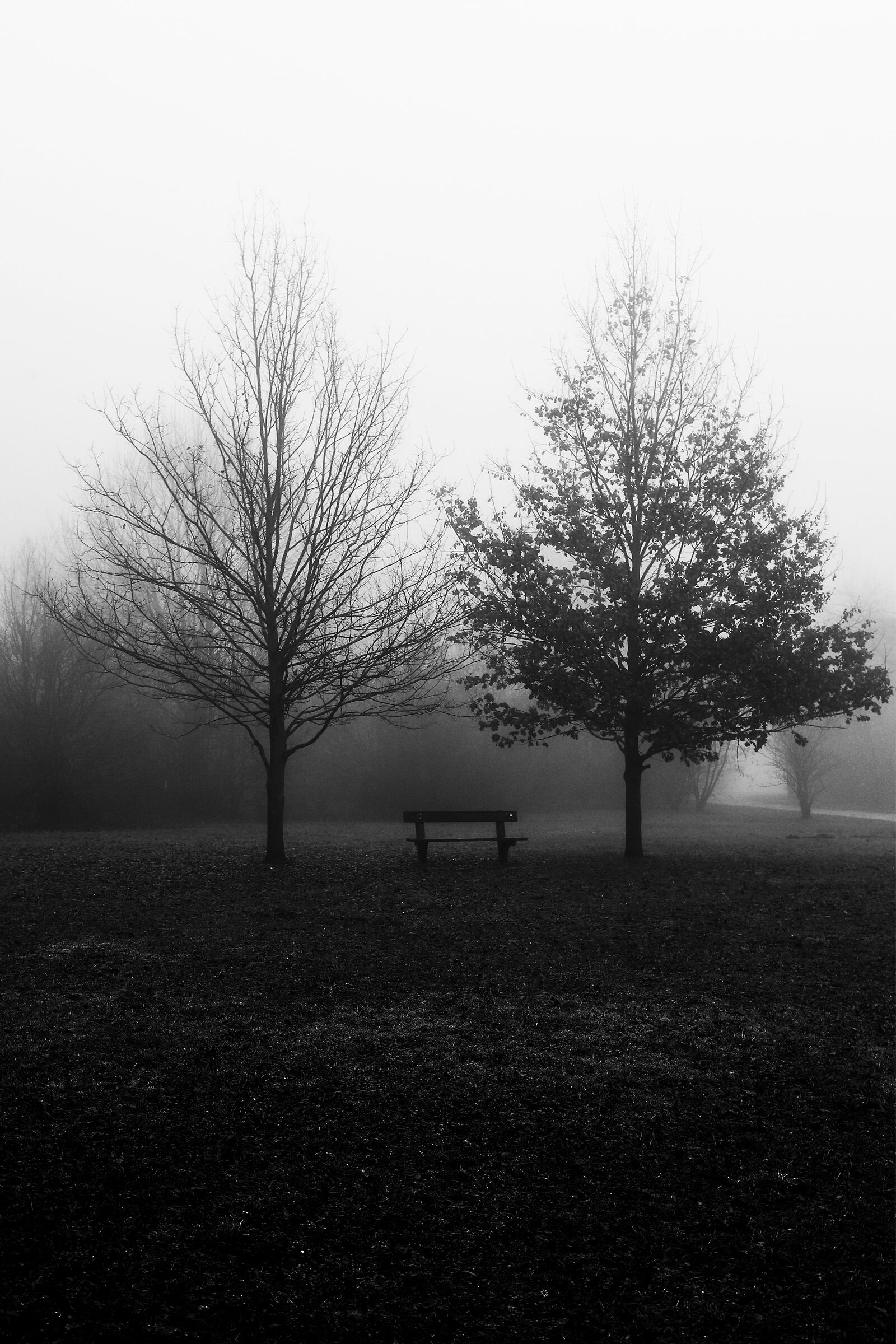 The silences of the park