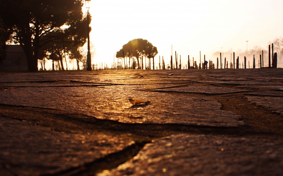 Riflessi sulla strada