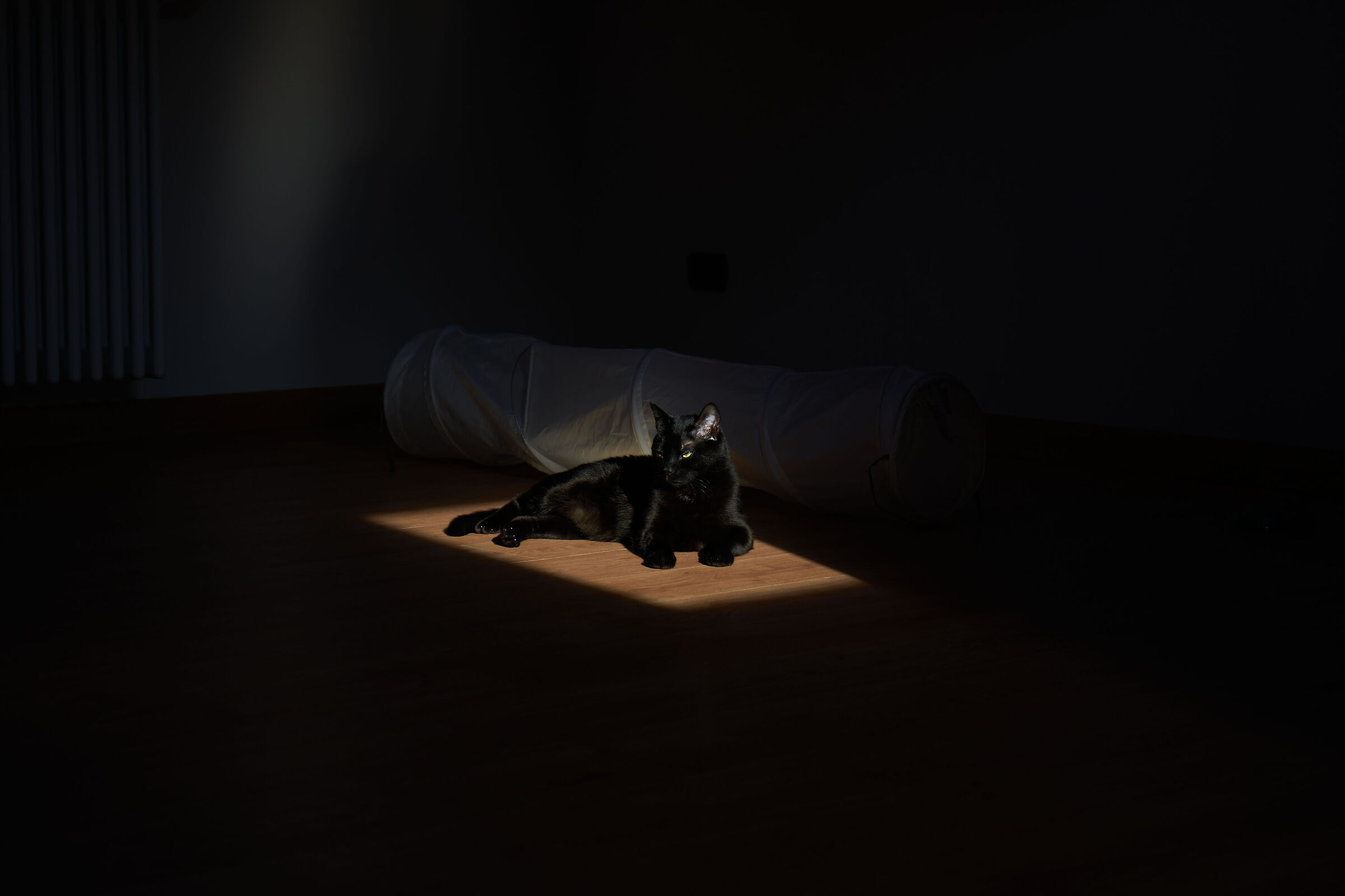 The Dark Side In The Light