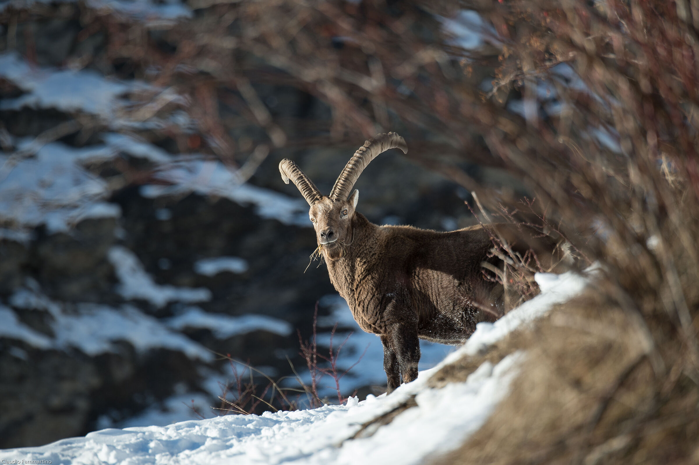 last rays of sunshine