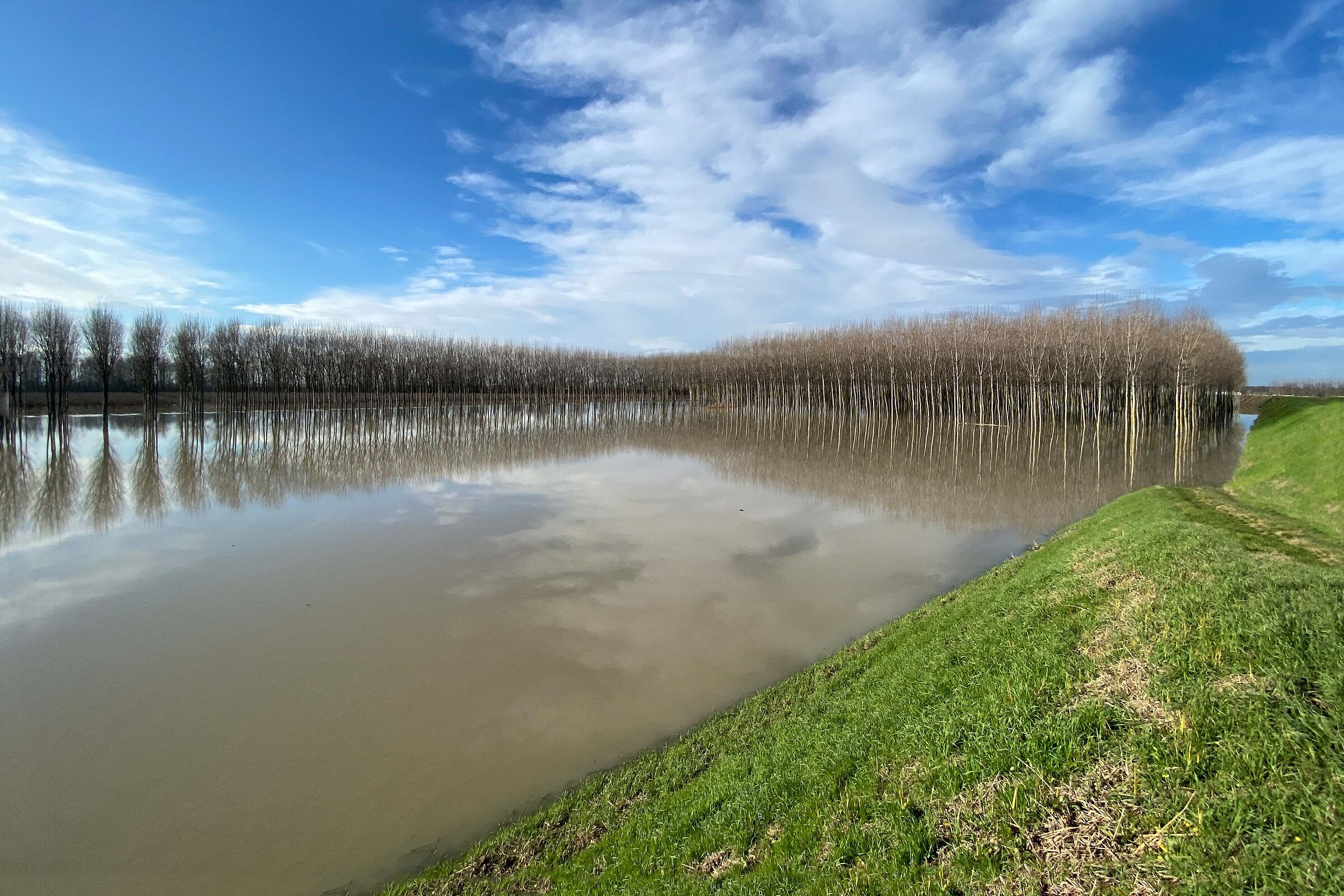 Flood of the Secchia River