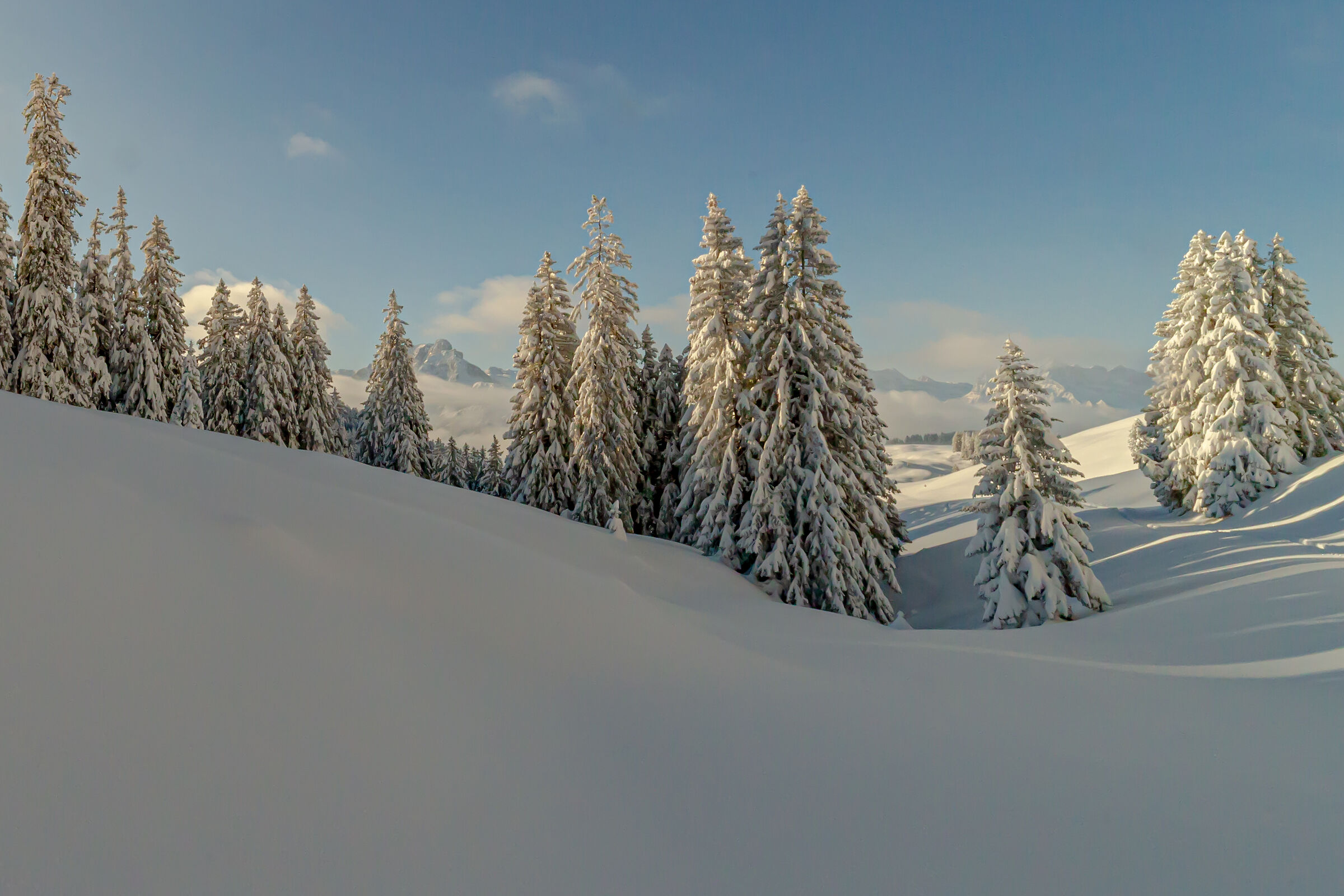 The Quiet of the Snow