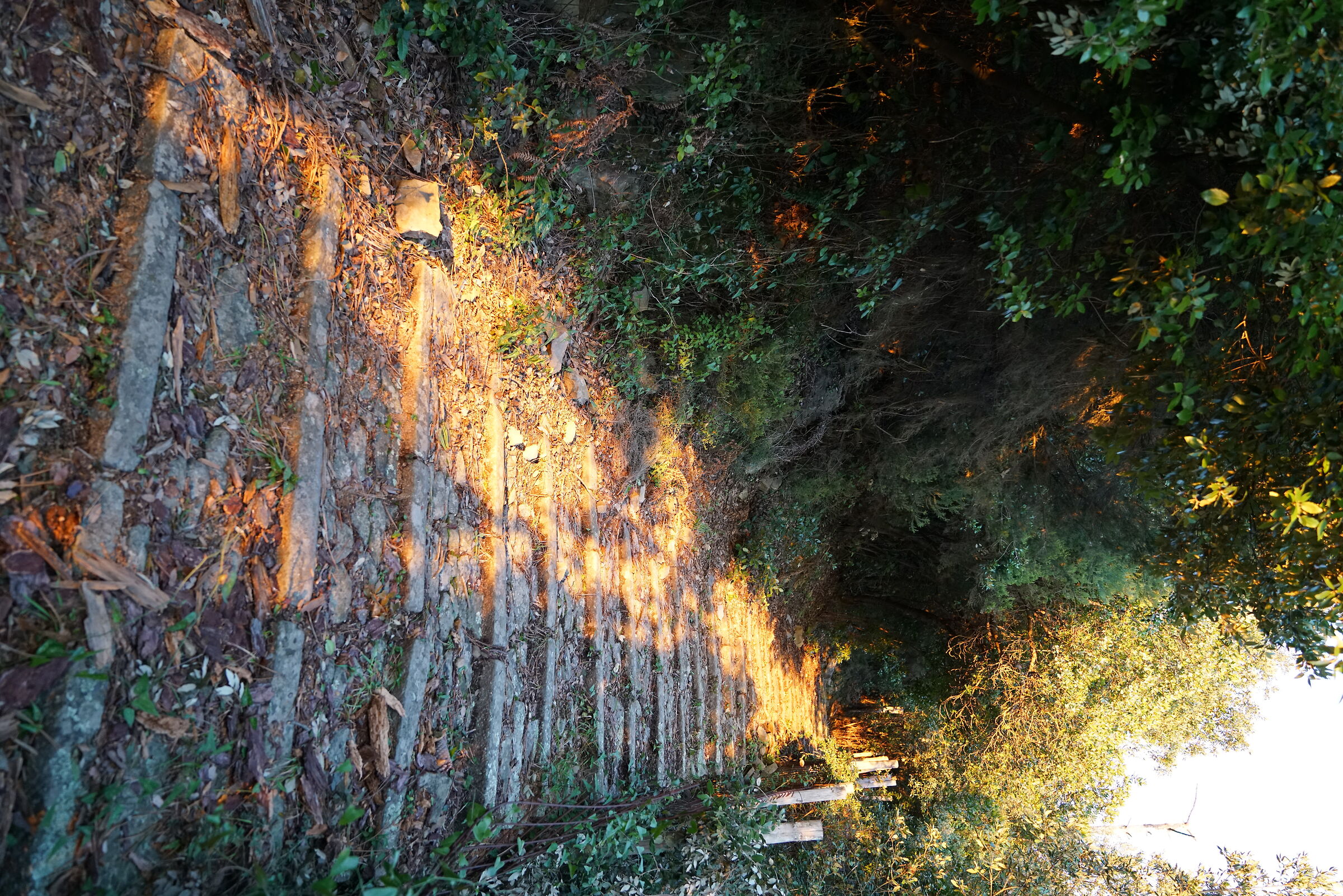 ancient street schiara parodi