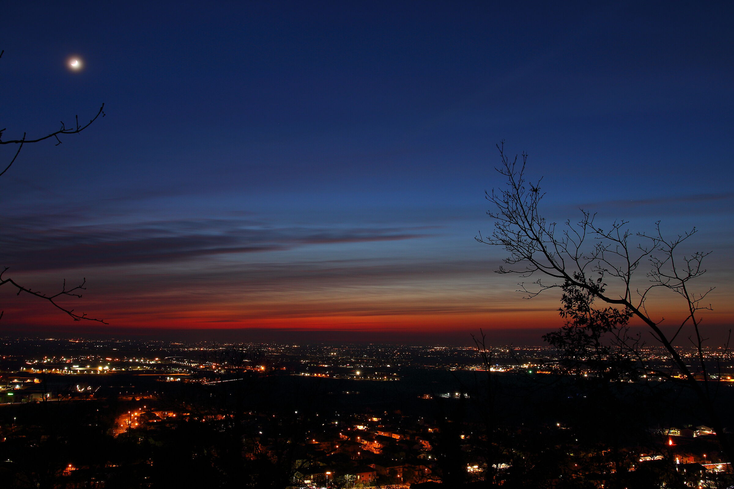 Untitled Photo