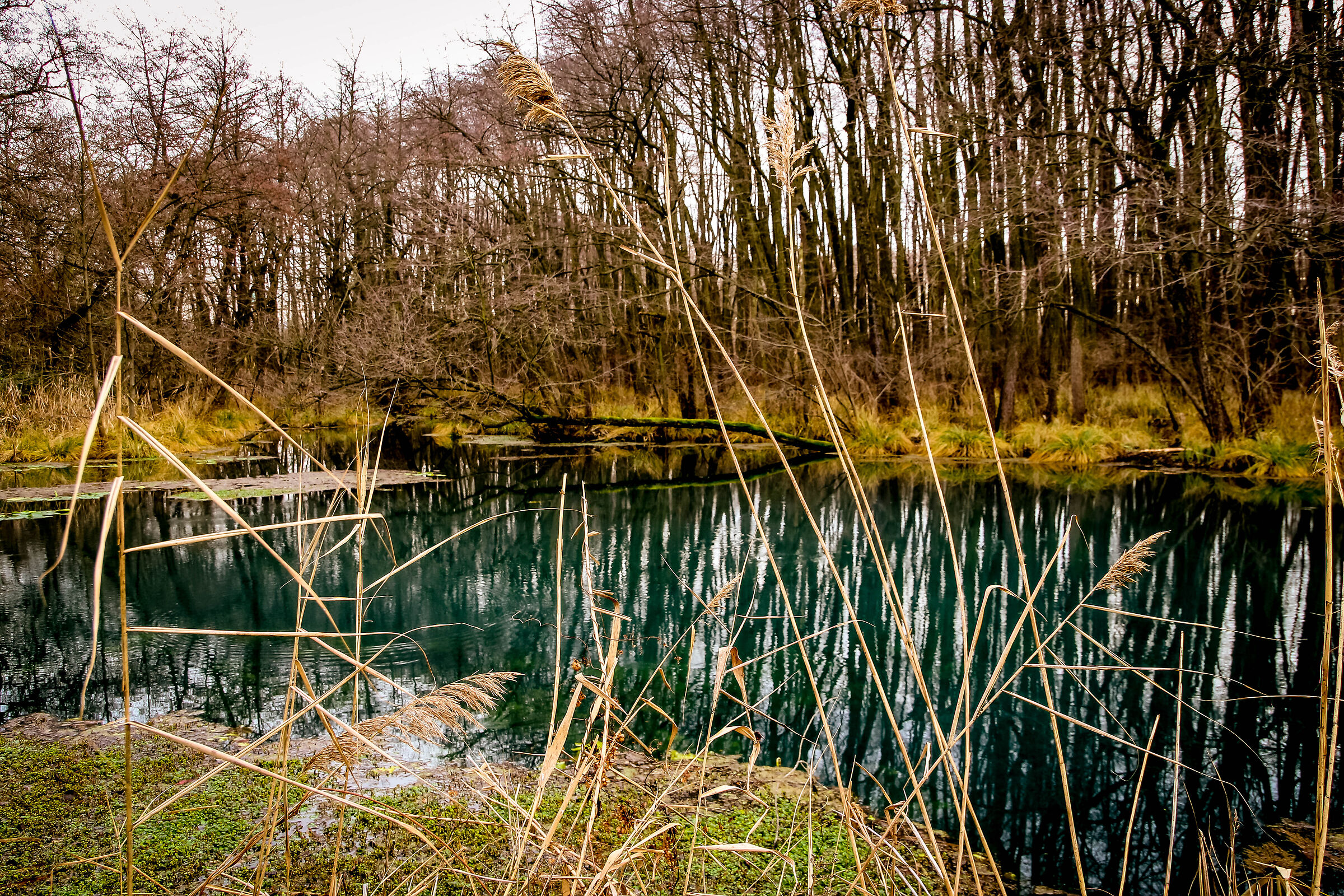 nature