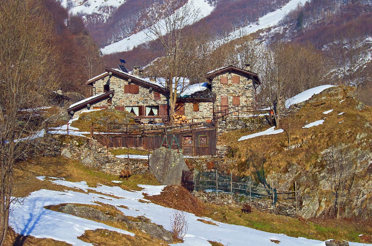 Tourist walk in Maslana