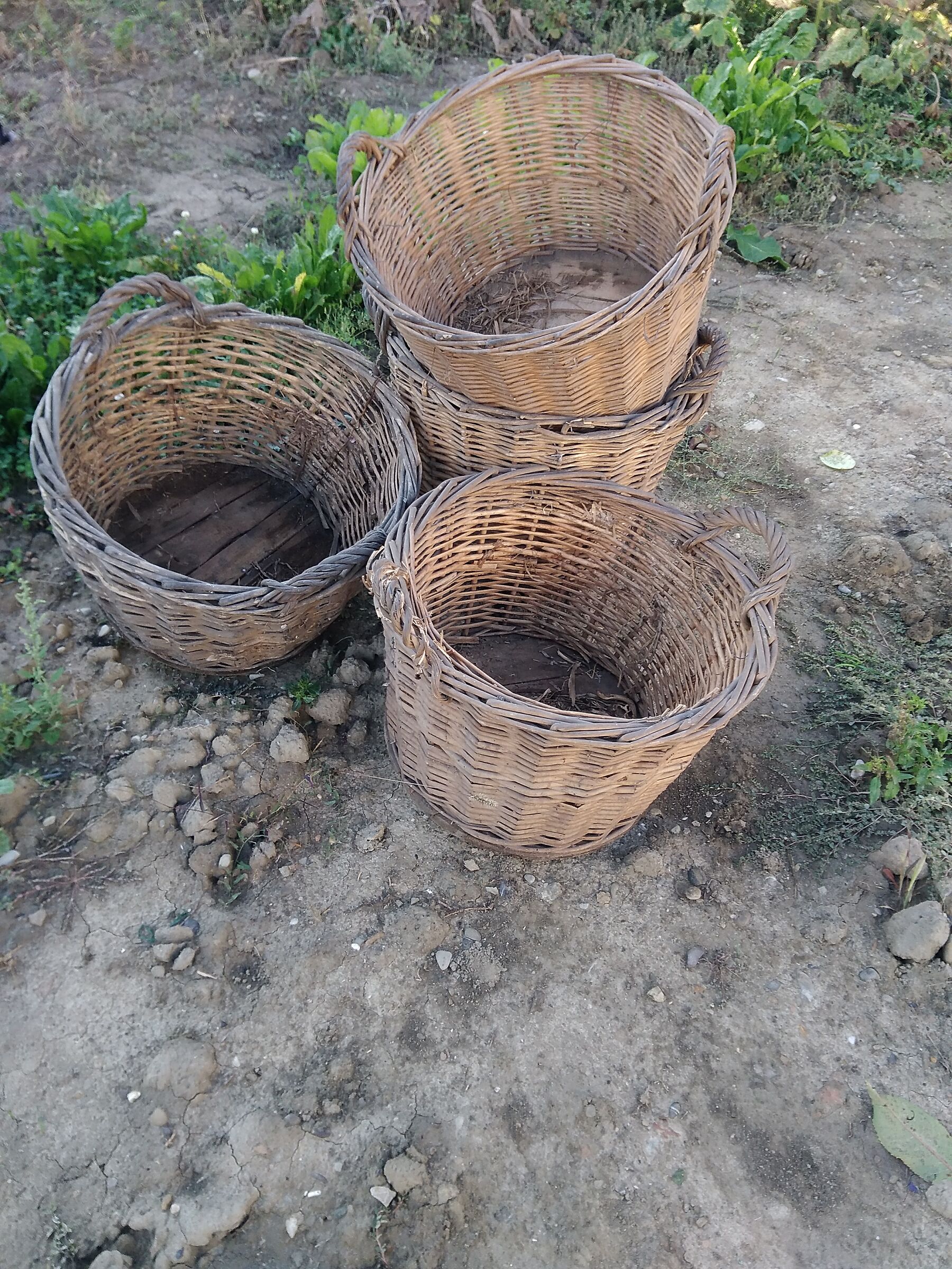 Basket i for damigiane