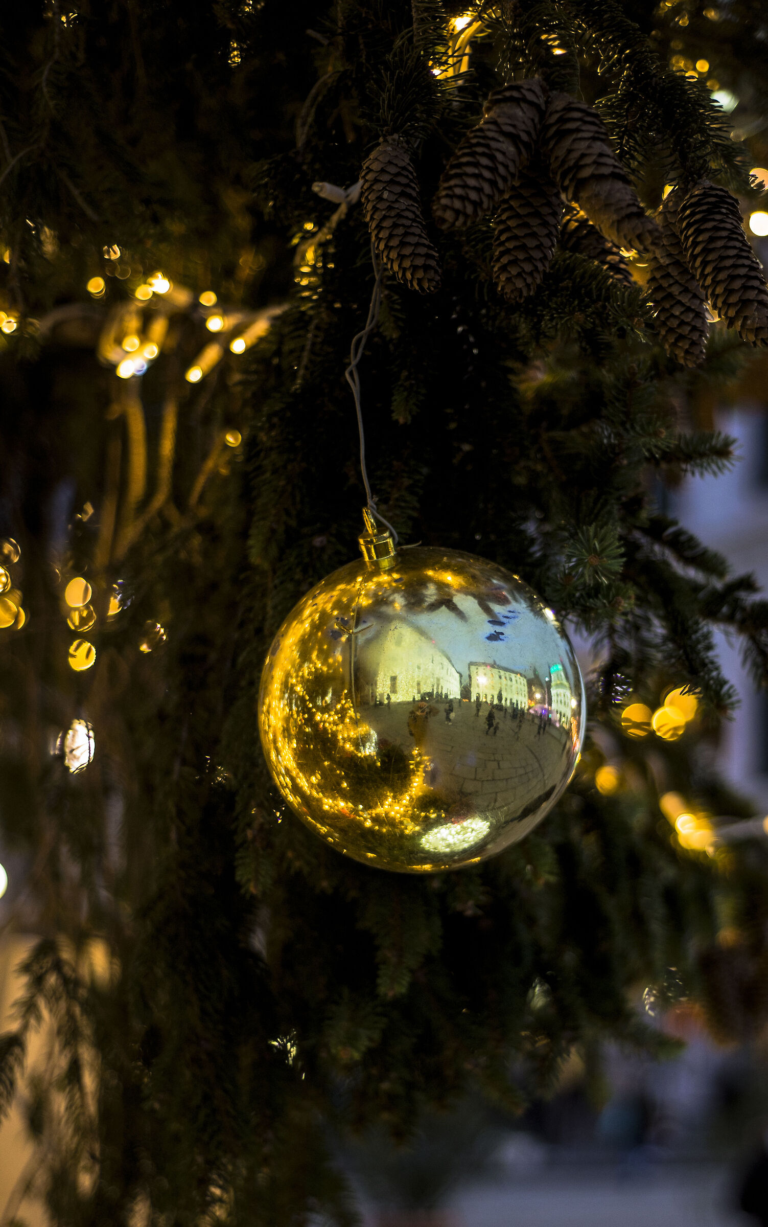 Happy Christmas