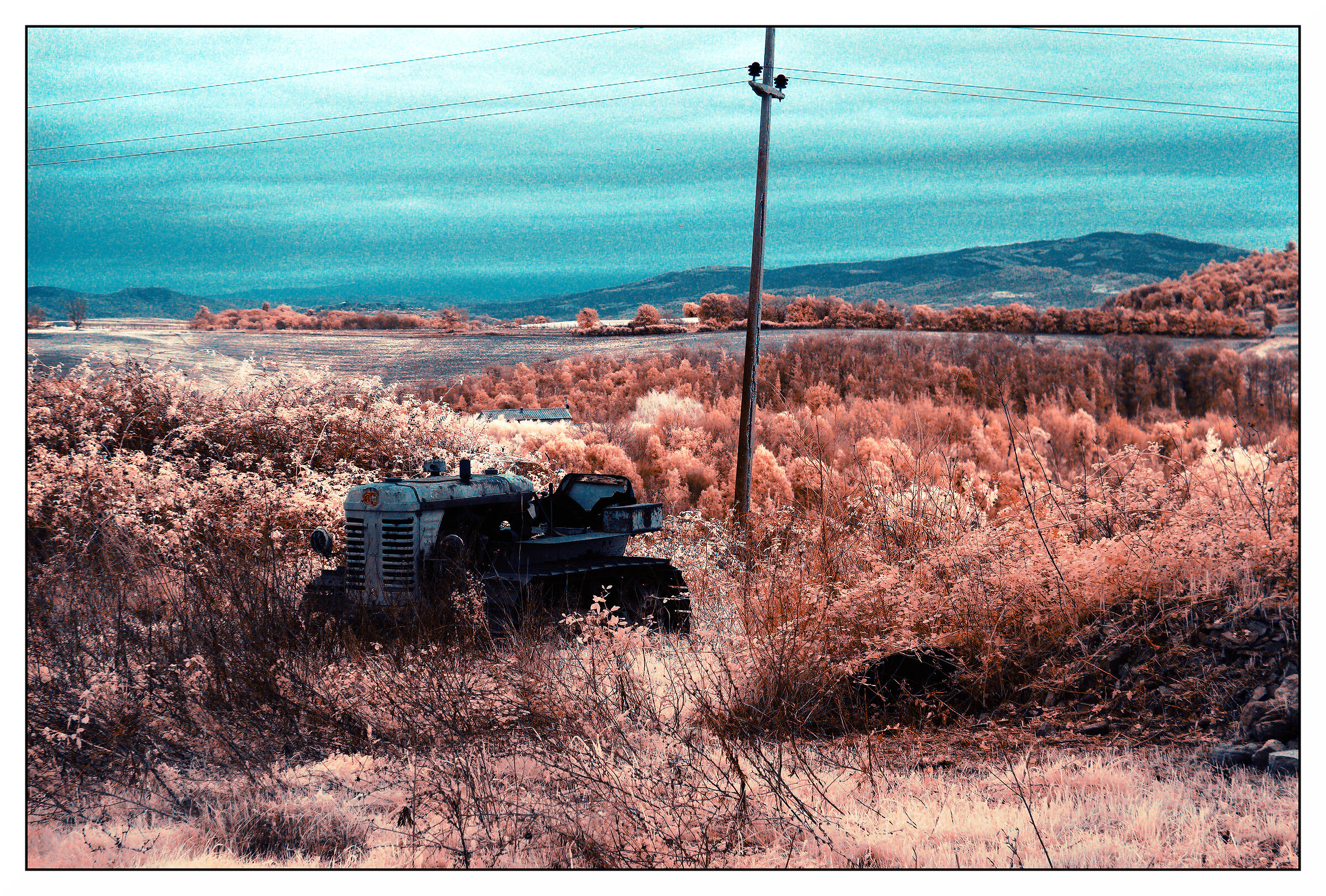 Tractors... the beautiful ones