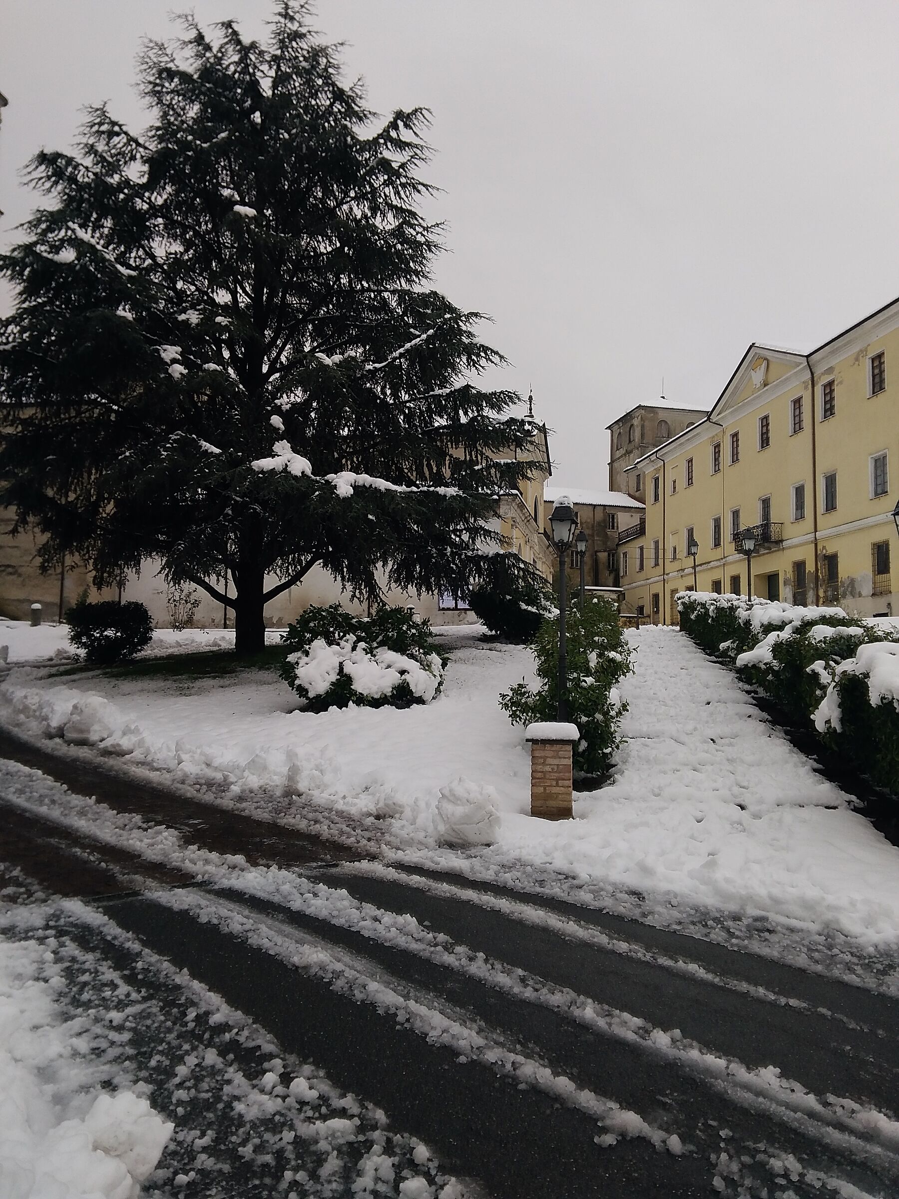 Retorbido - PV - 003