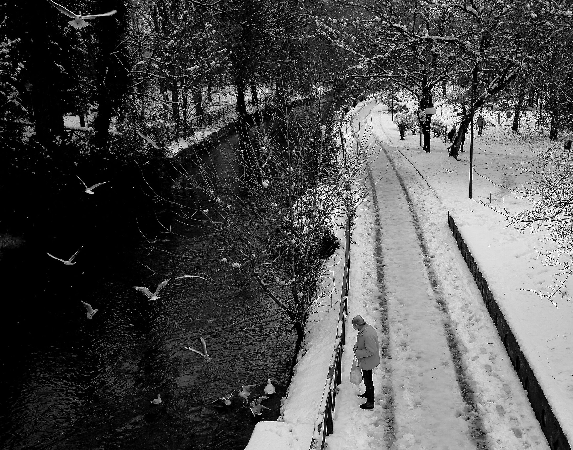 Il signore del pane (bn)