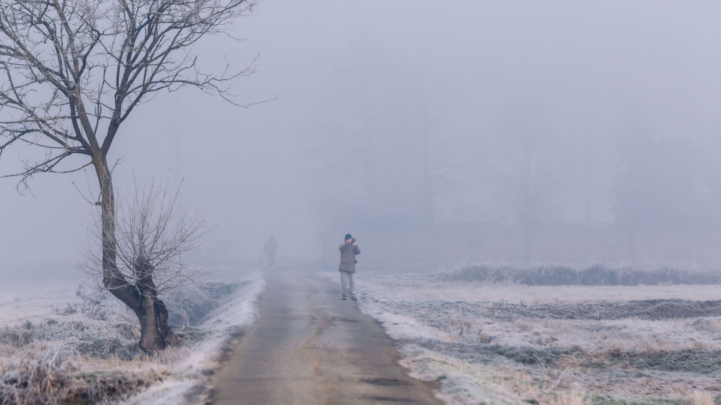 Aspiring photographer