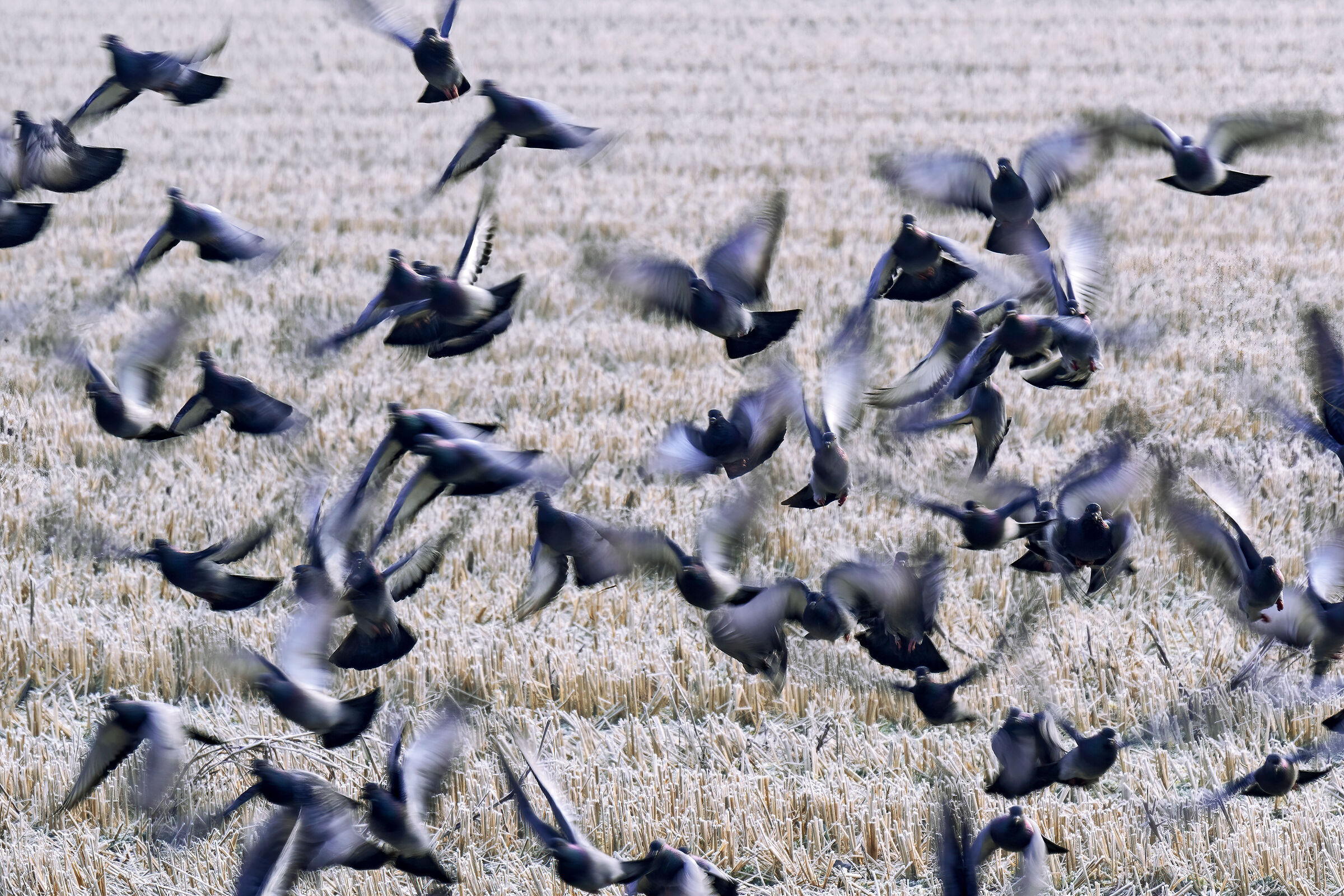 Uno alla volta per carità!!!!!!!!!!!!!!!!!!