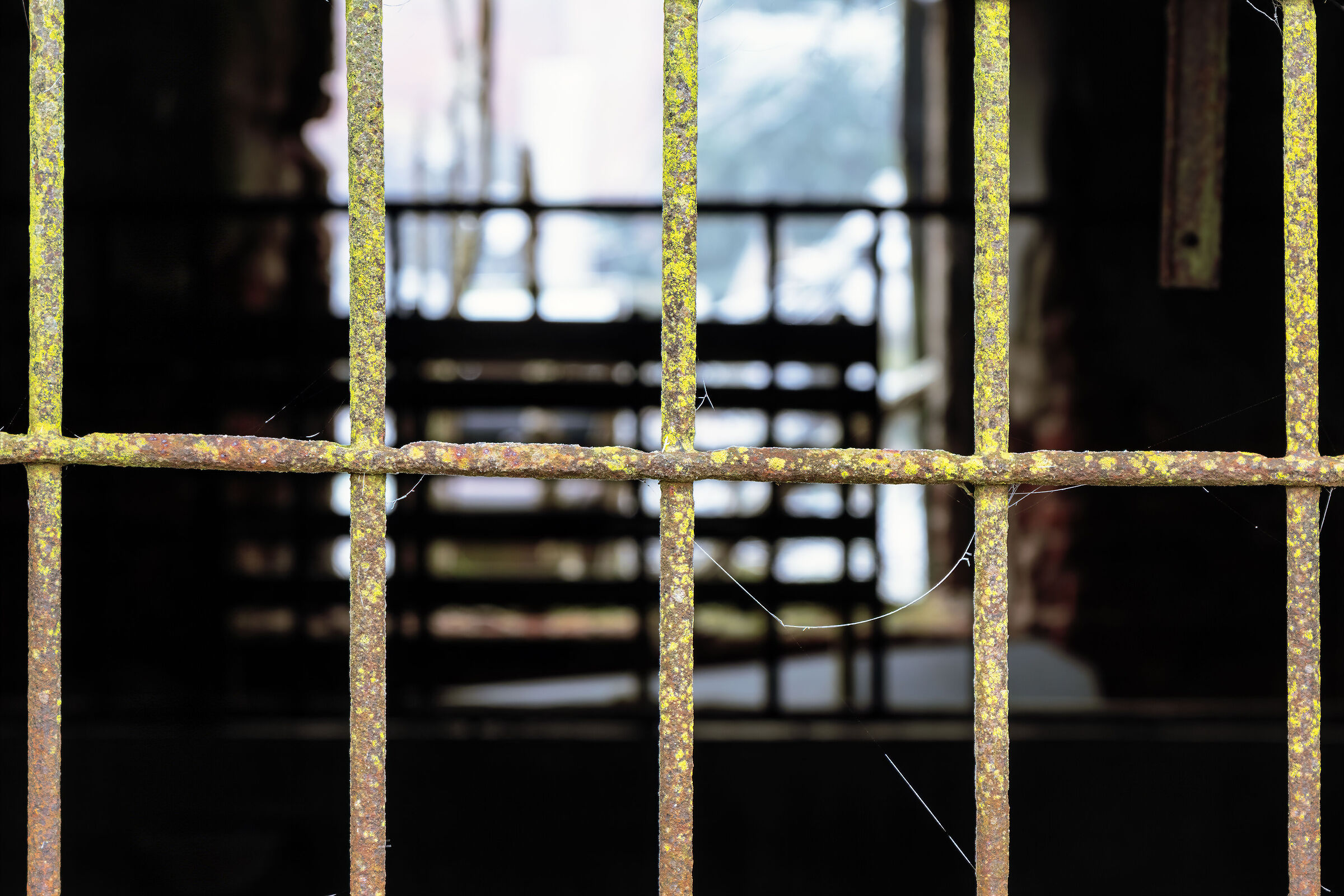 All colors of iron oxides