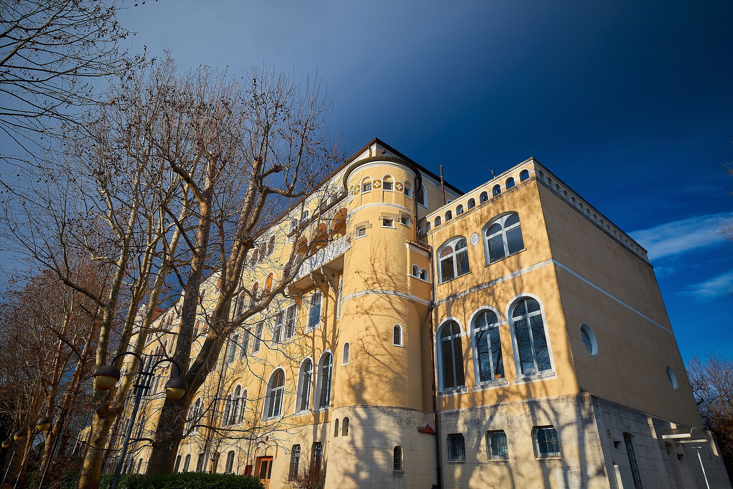 Università di Gorizia