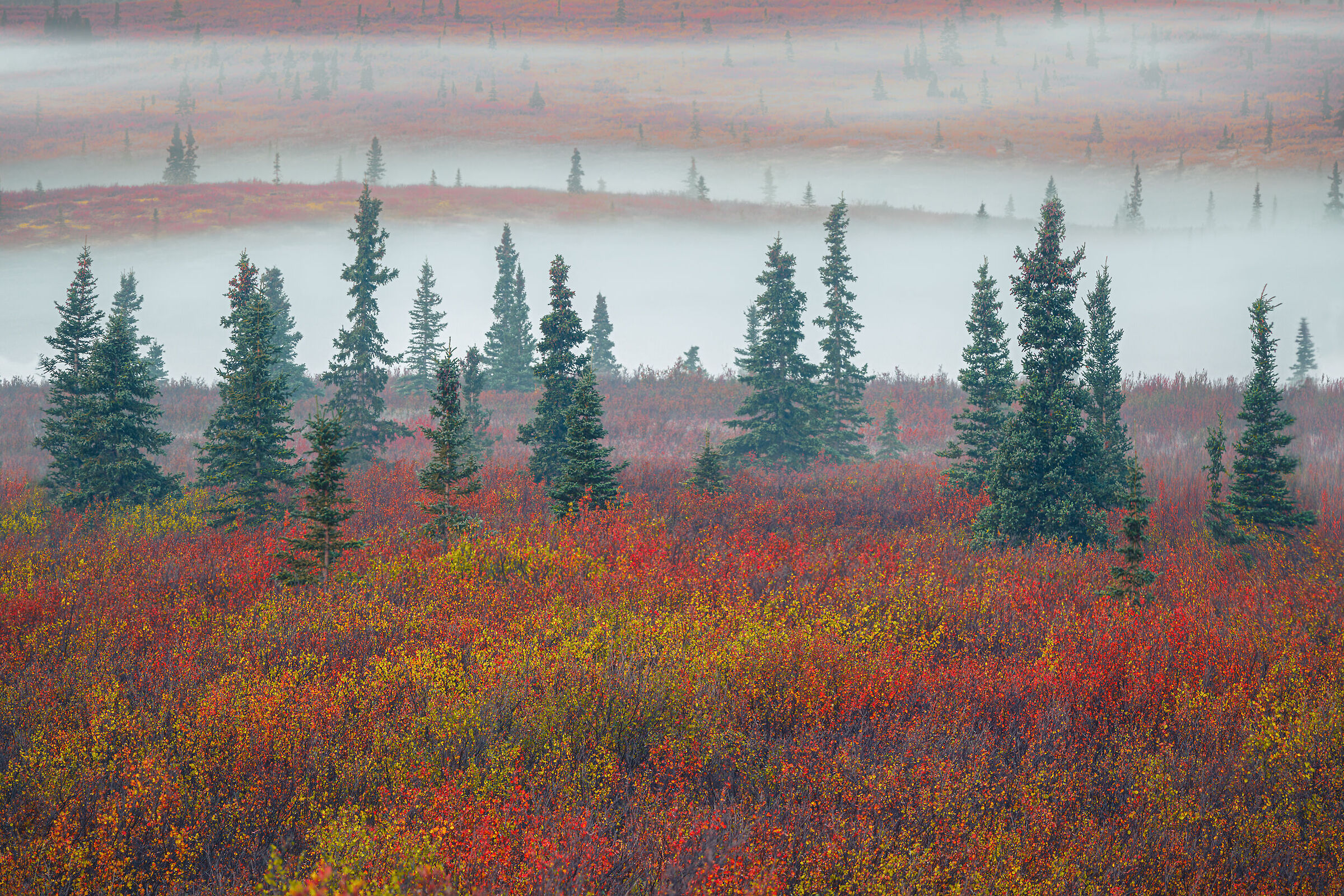 One day in September.