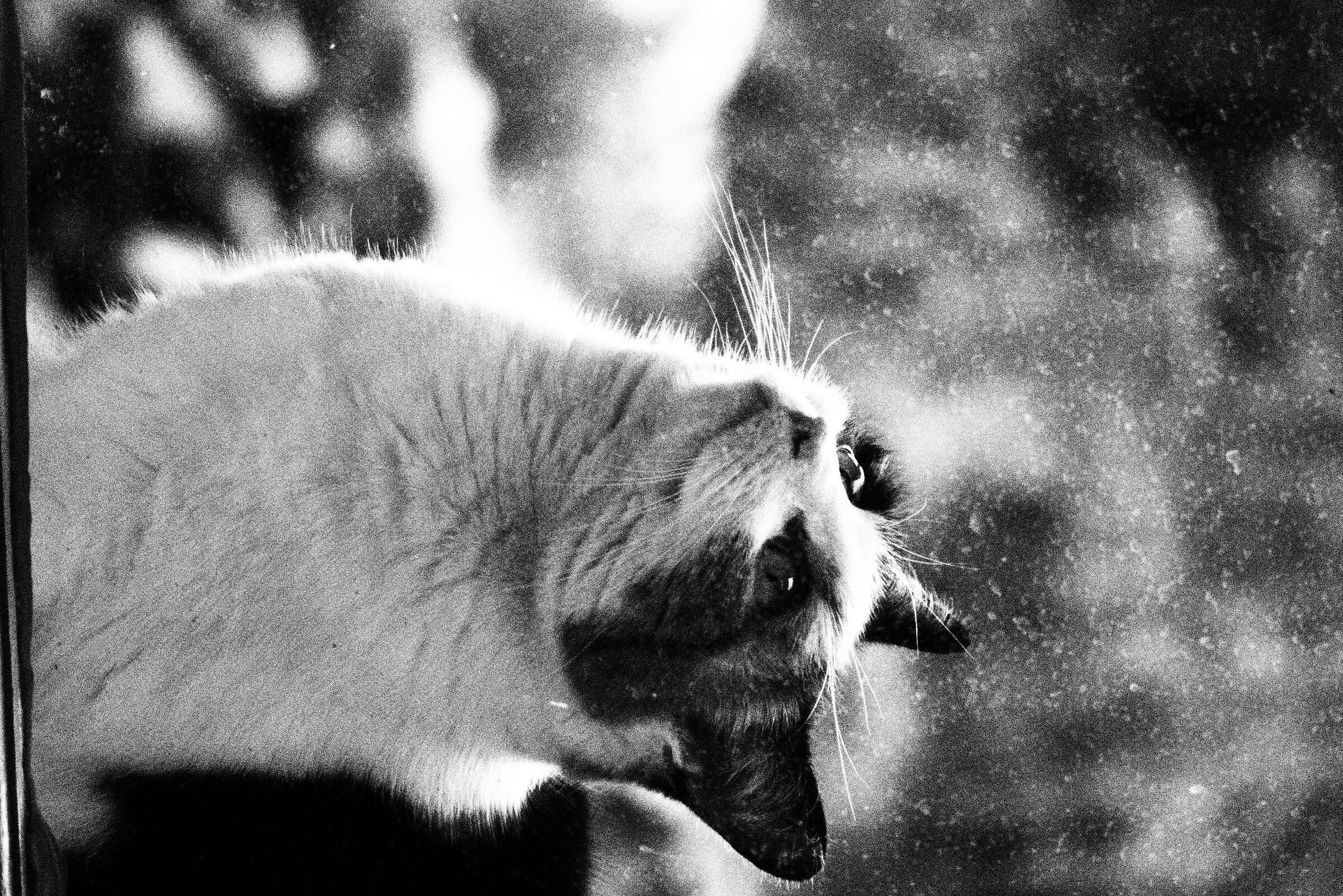 how beautiful you are!!!!!!!!