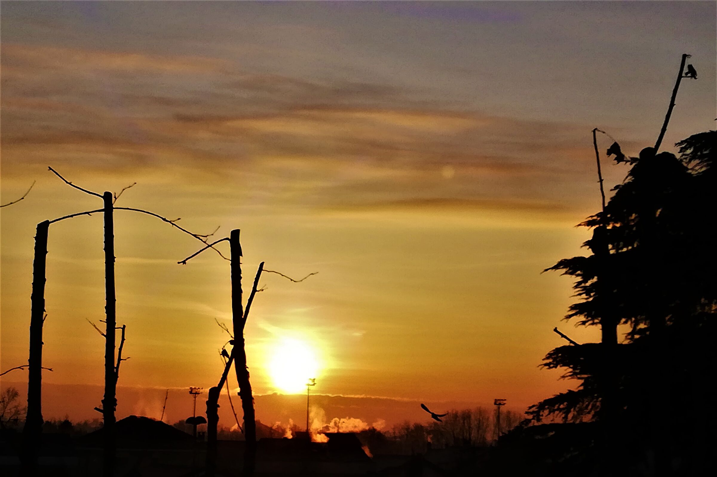 buongiorno 19.01.2021