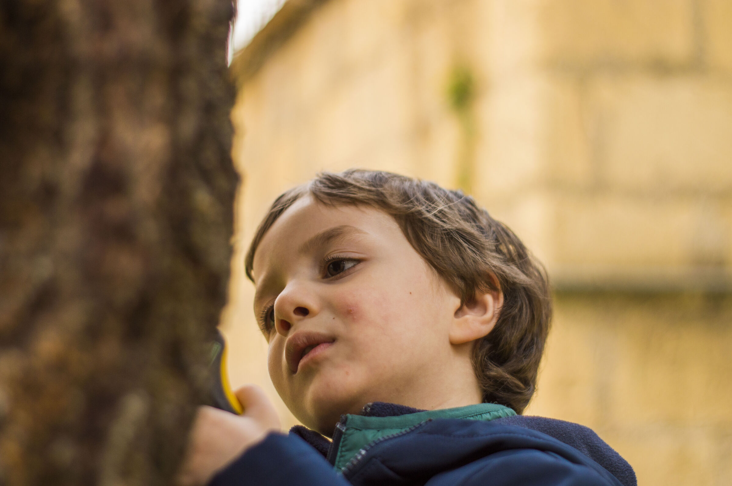 La scoperta dell'albero
