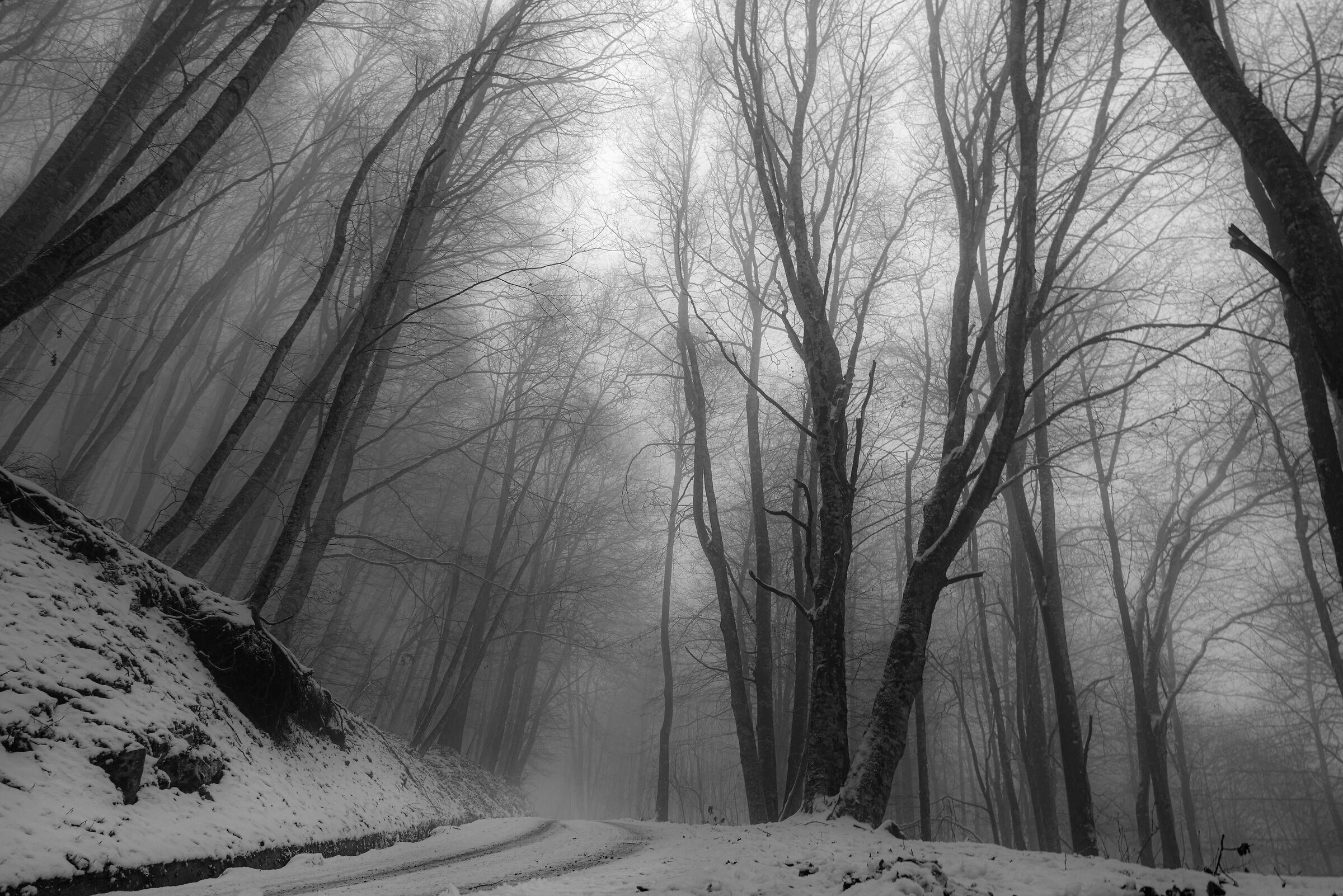 inverno
