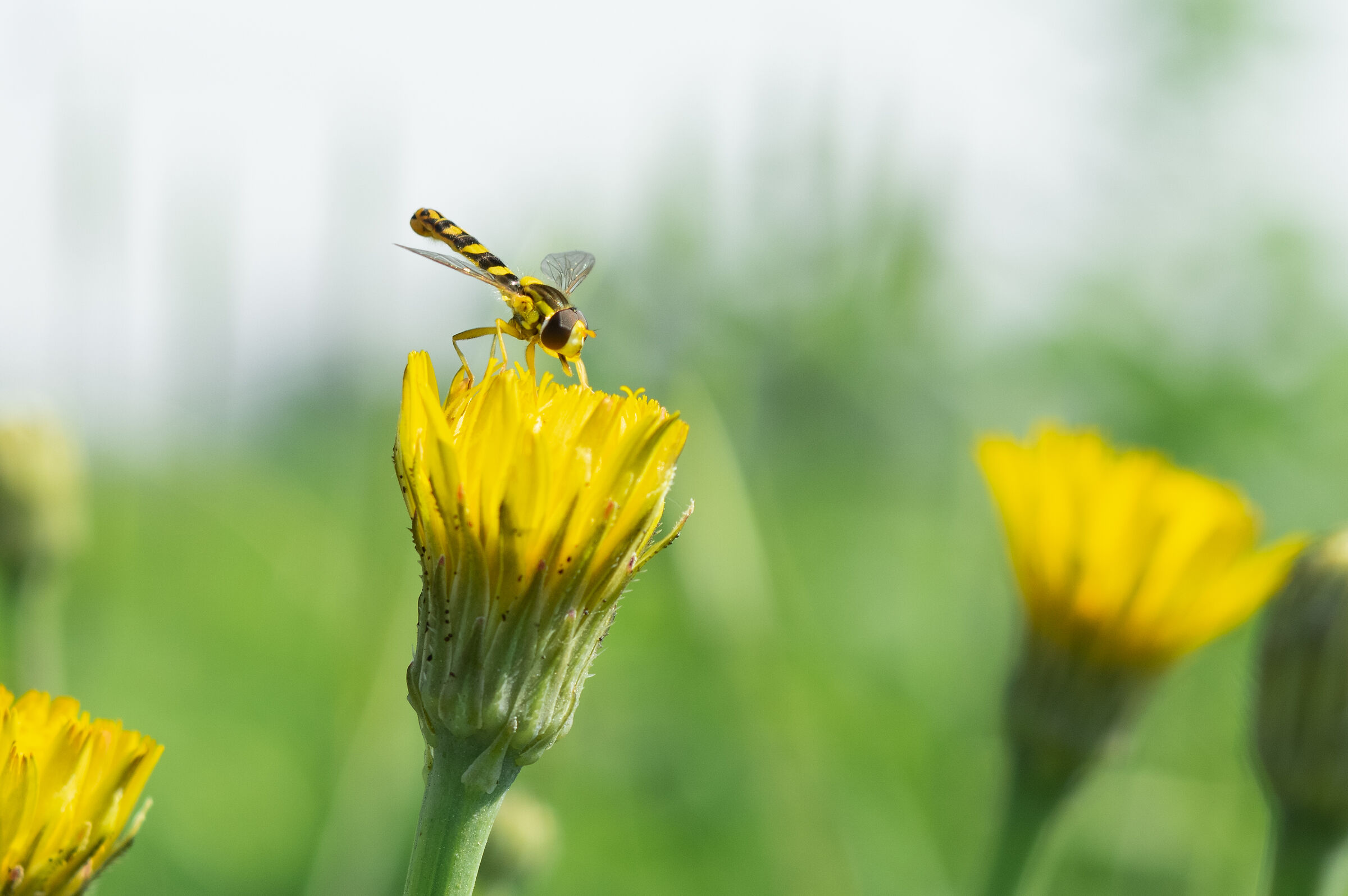 Atterraggio perfetto