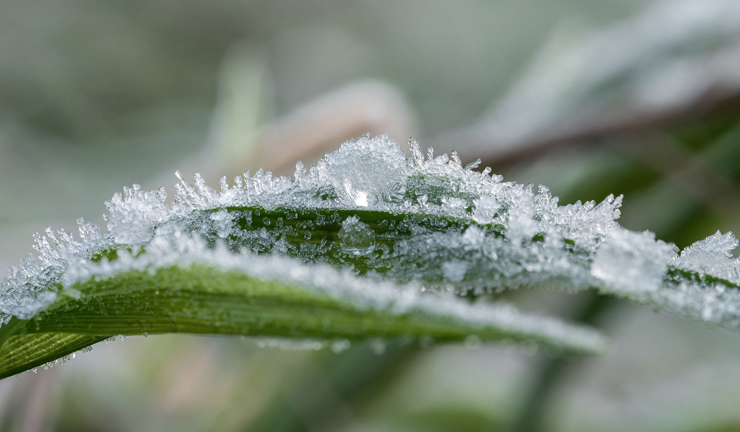 L'inverno in miniatura