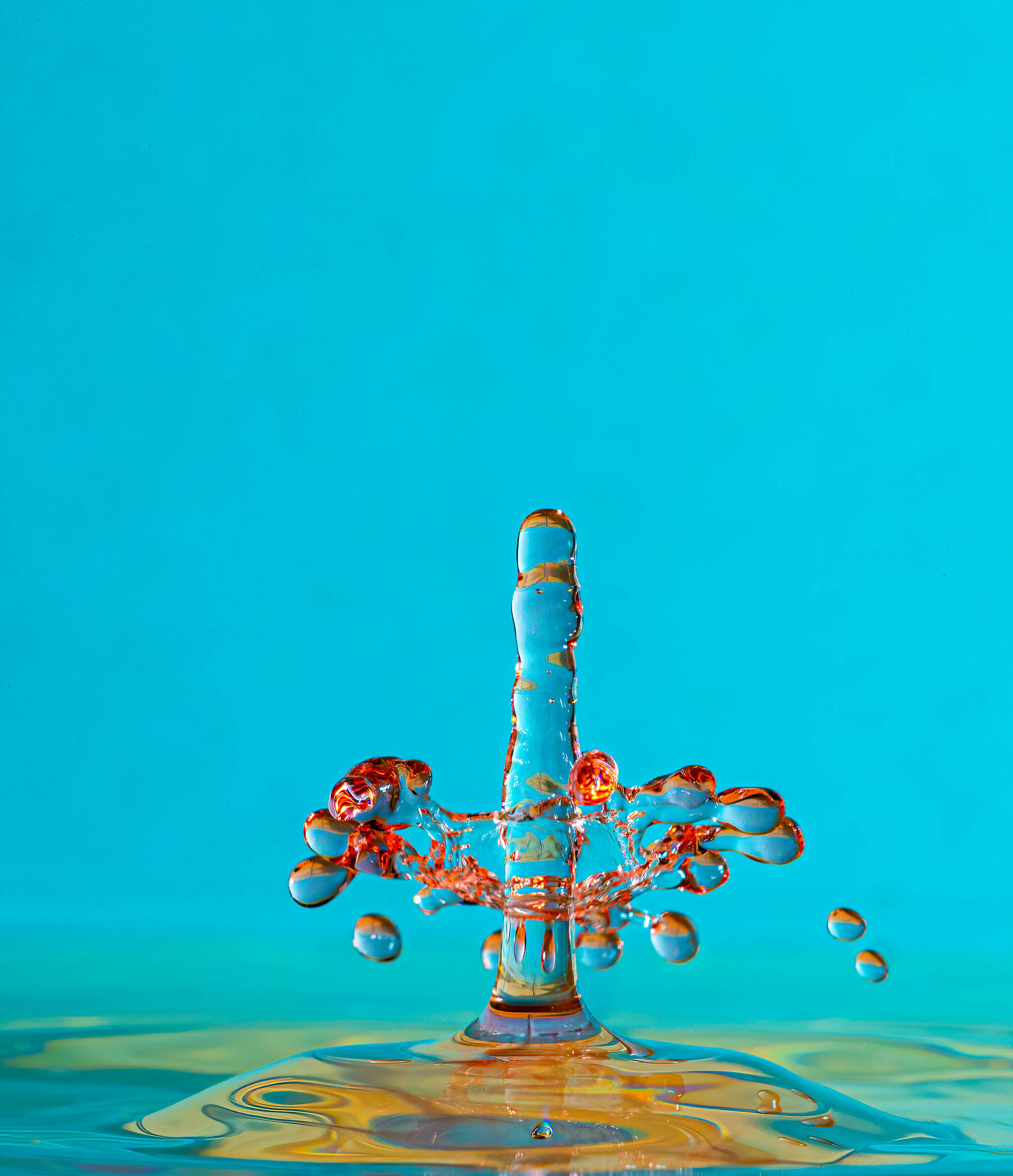 Regali artistici della Natura