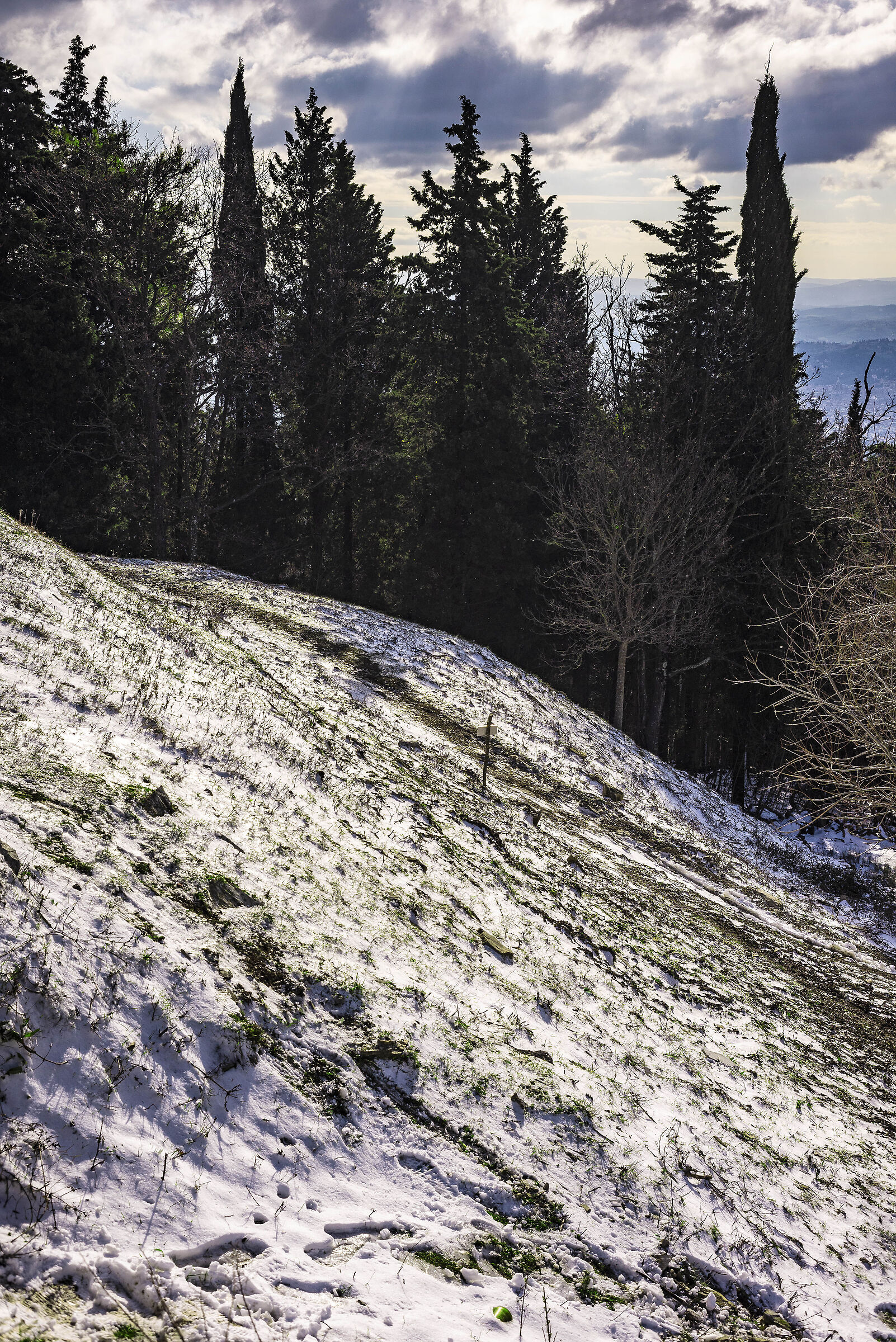 Quella volta che ha nevicato