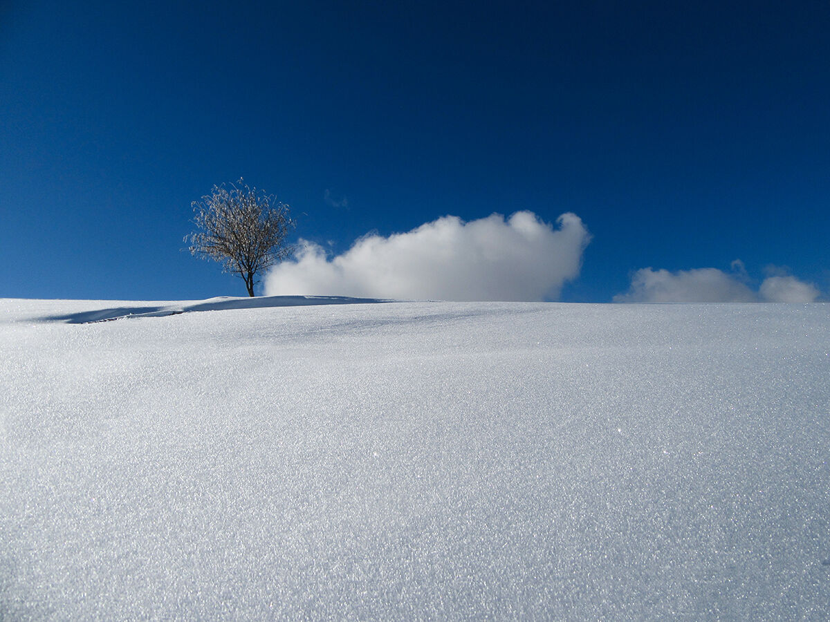 Una splendida giornata in "fascia gialla"