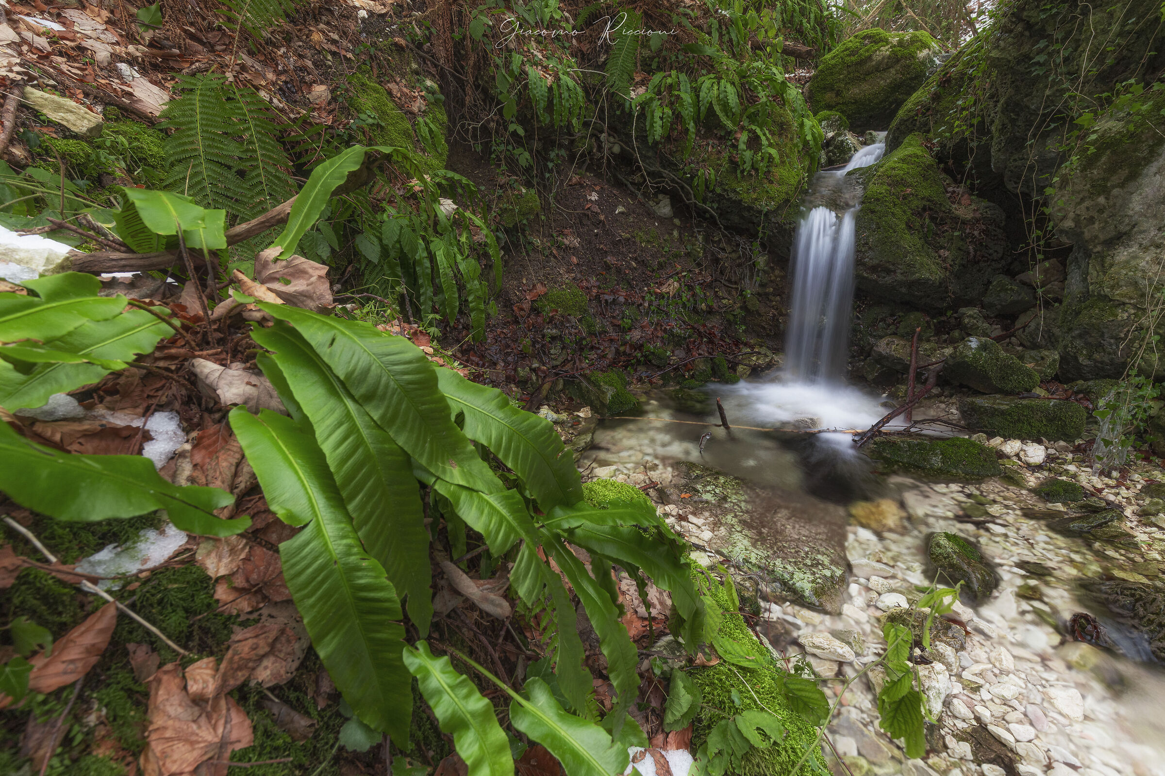 The wonderful world of Valle Scurosa