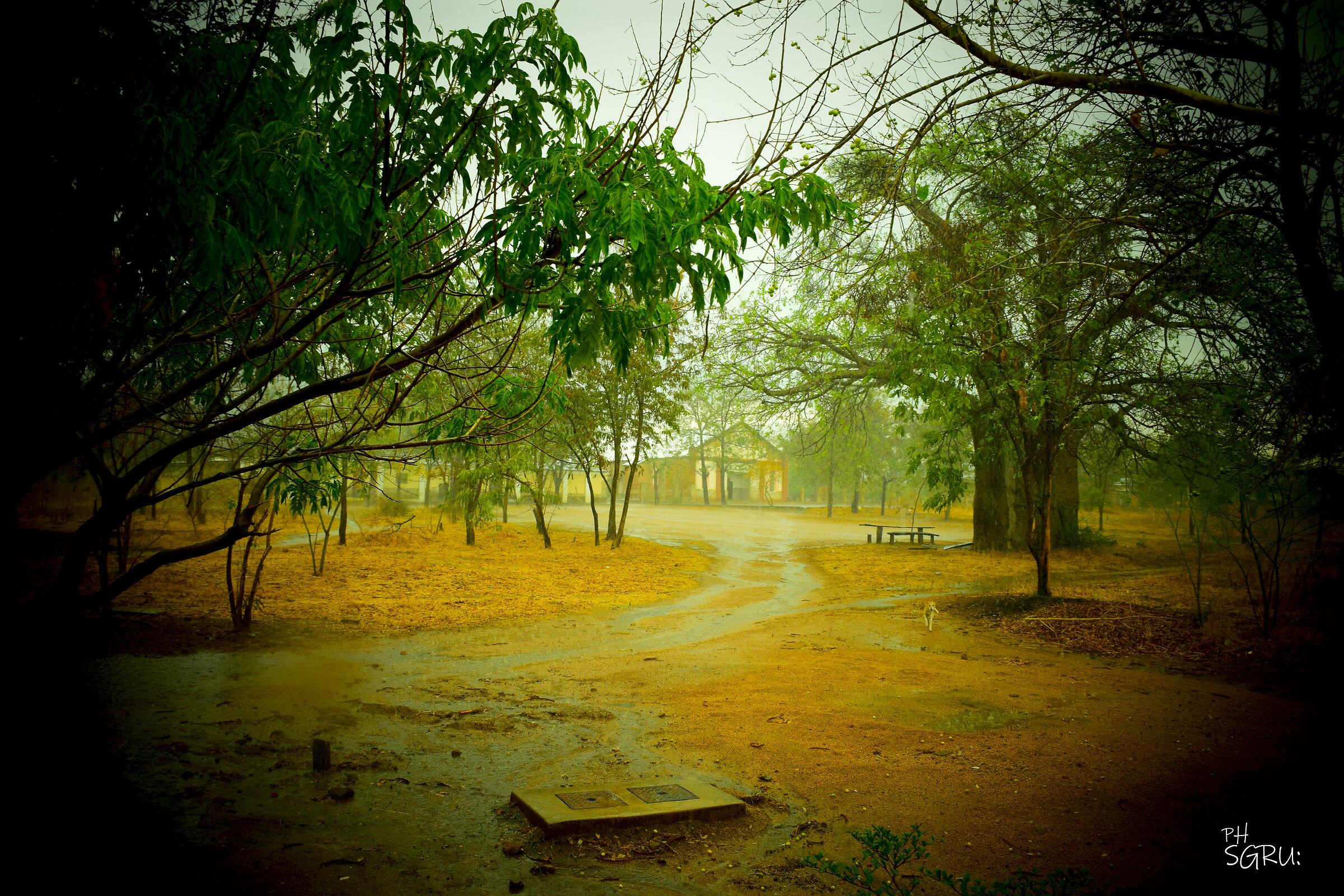 Acquazzoni equatoriali