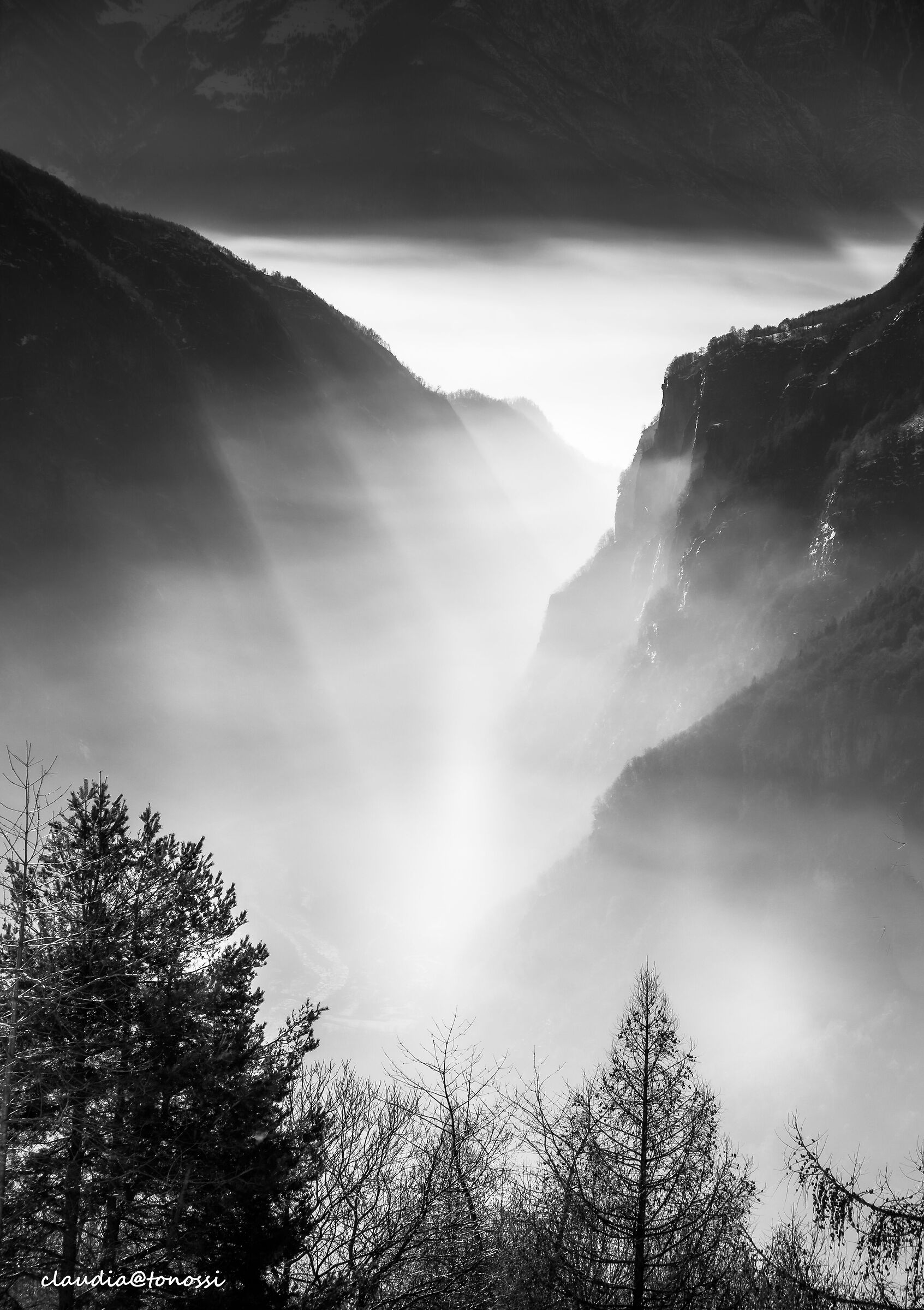 imbuto di nebbia