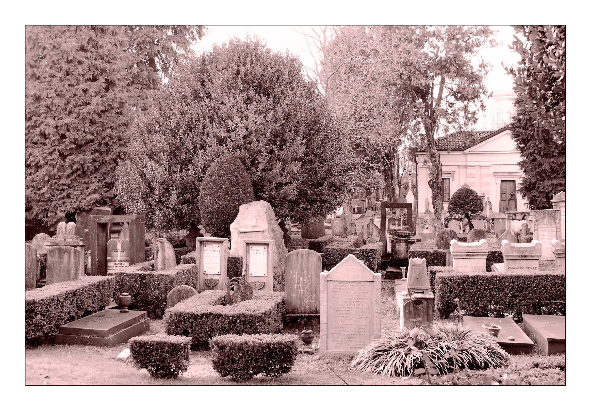 In the shadow of cypress trees