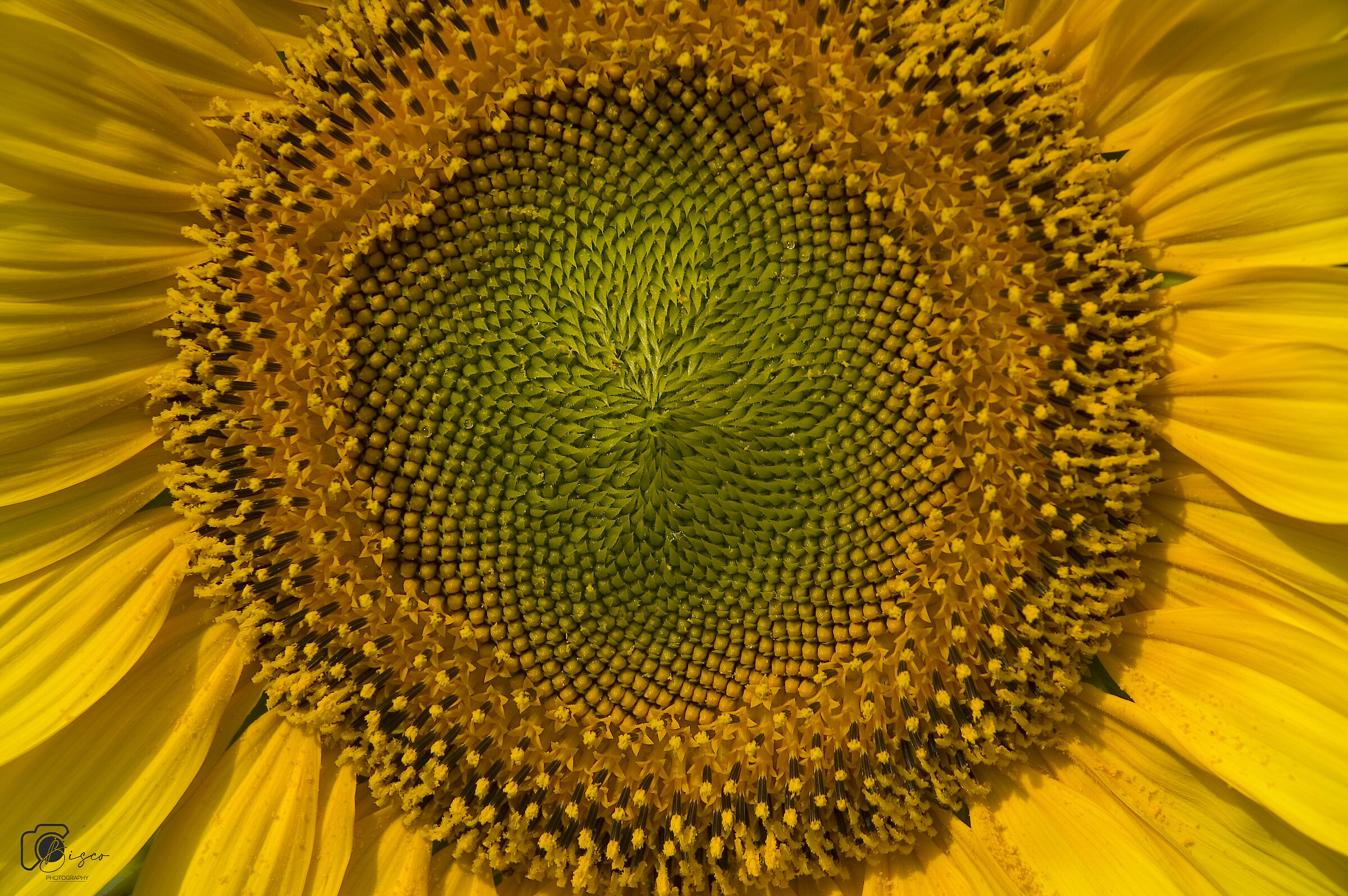 Very close encounter...