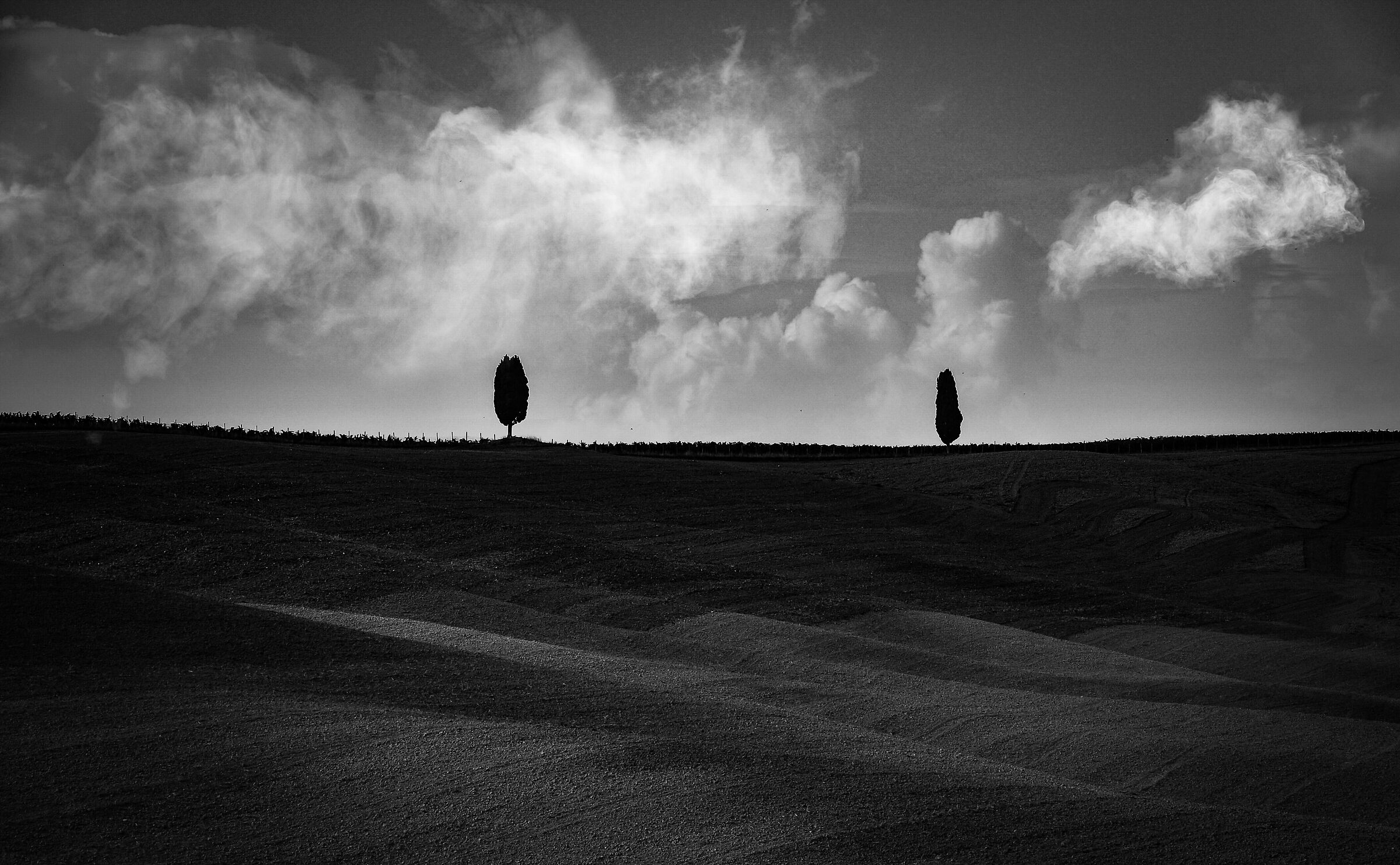 Val d'Orcia Department (Siena)