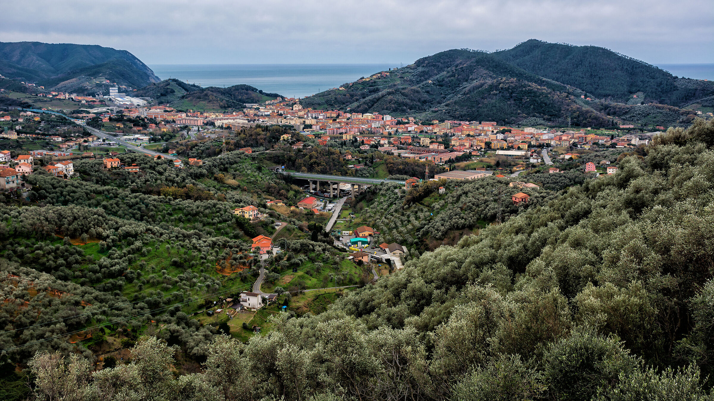 Saint Bartholomew of Broom