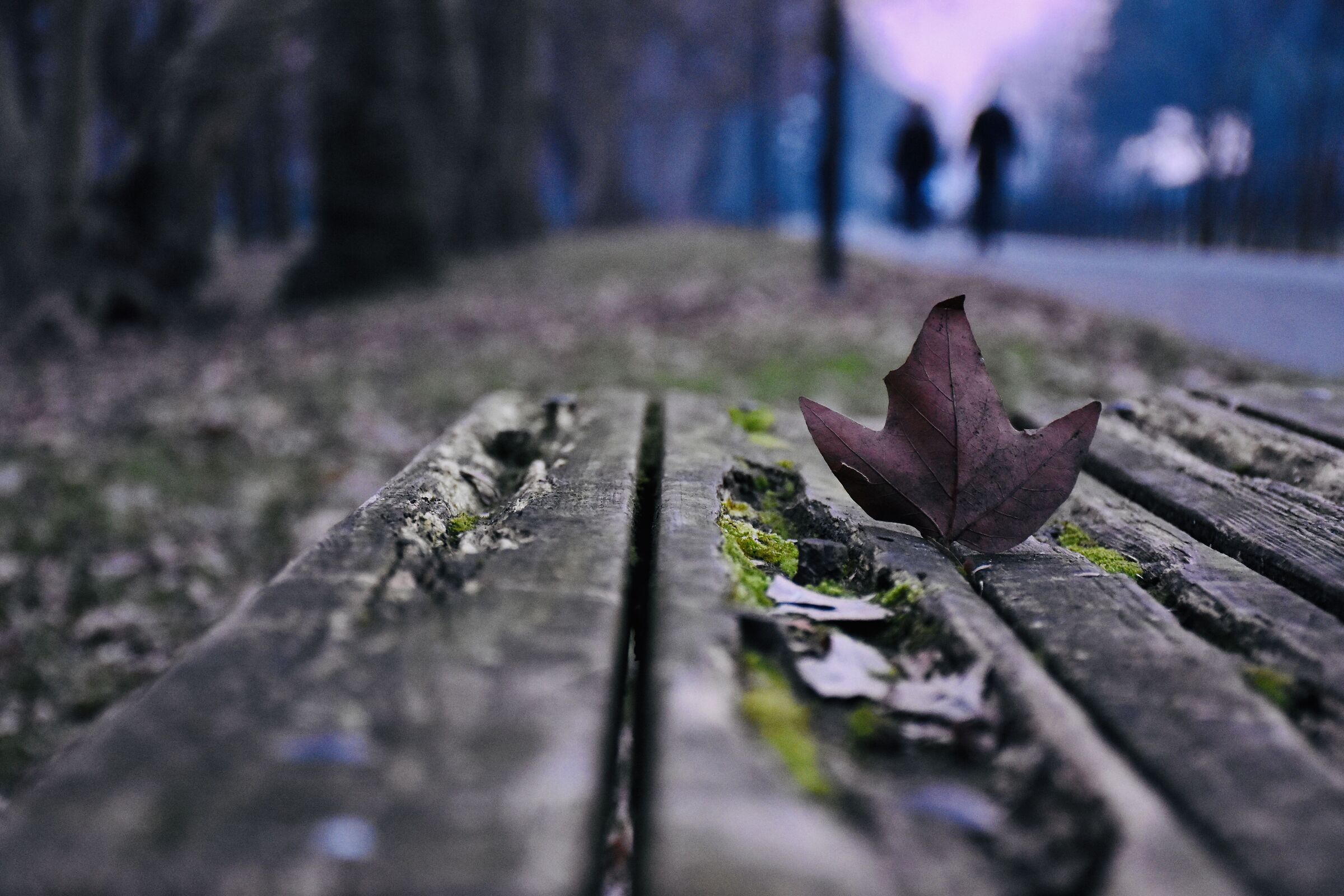 Inavvertita Presenza