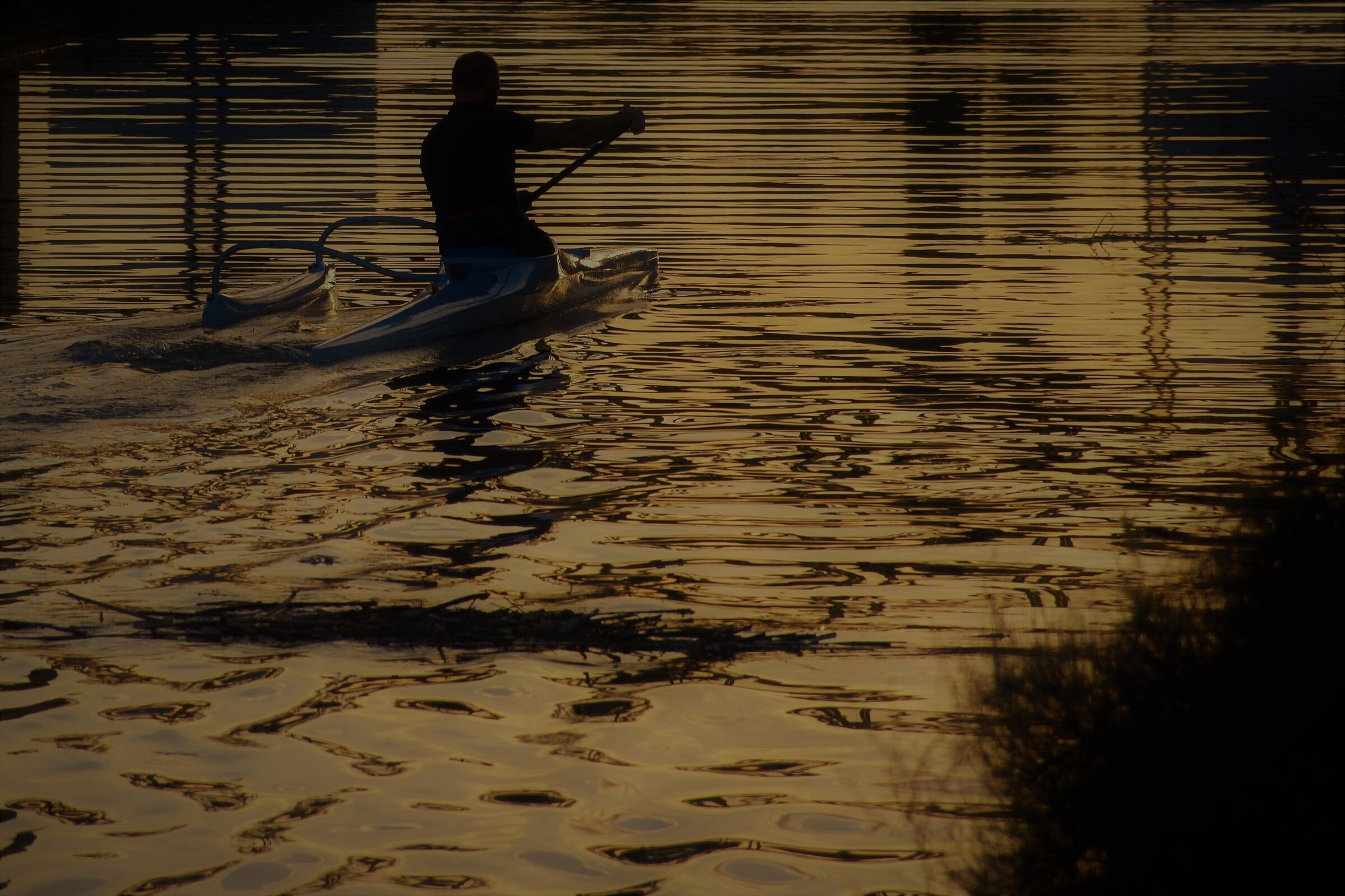 "There are those who sail in gold"