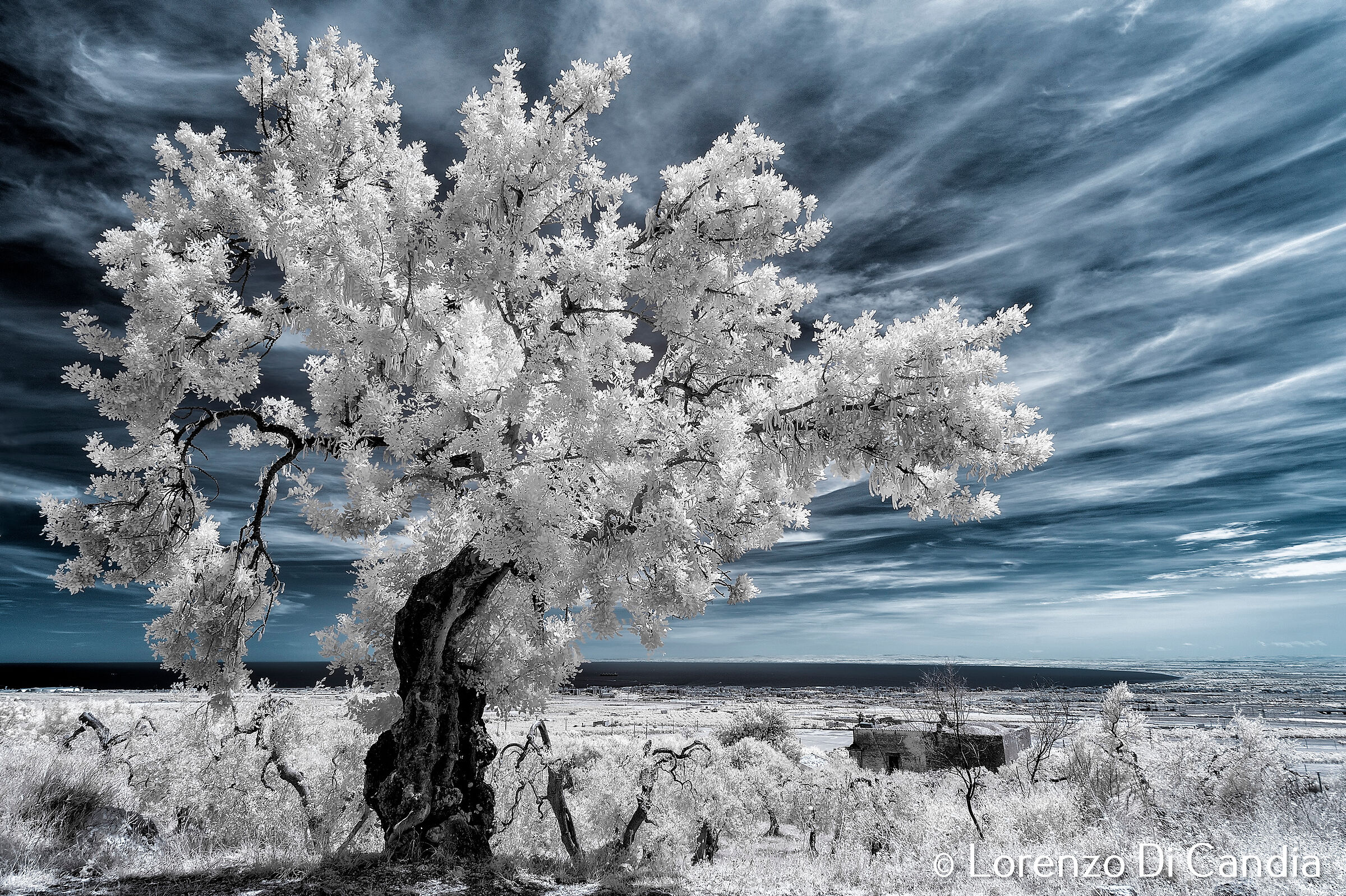 Infrared in Puglia