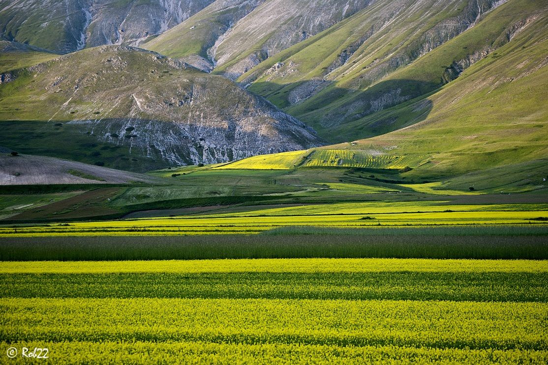 Pian Grande in giallo