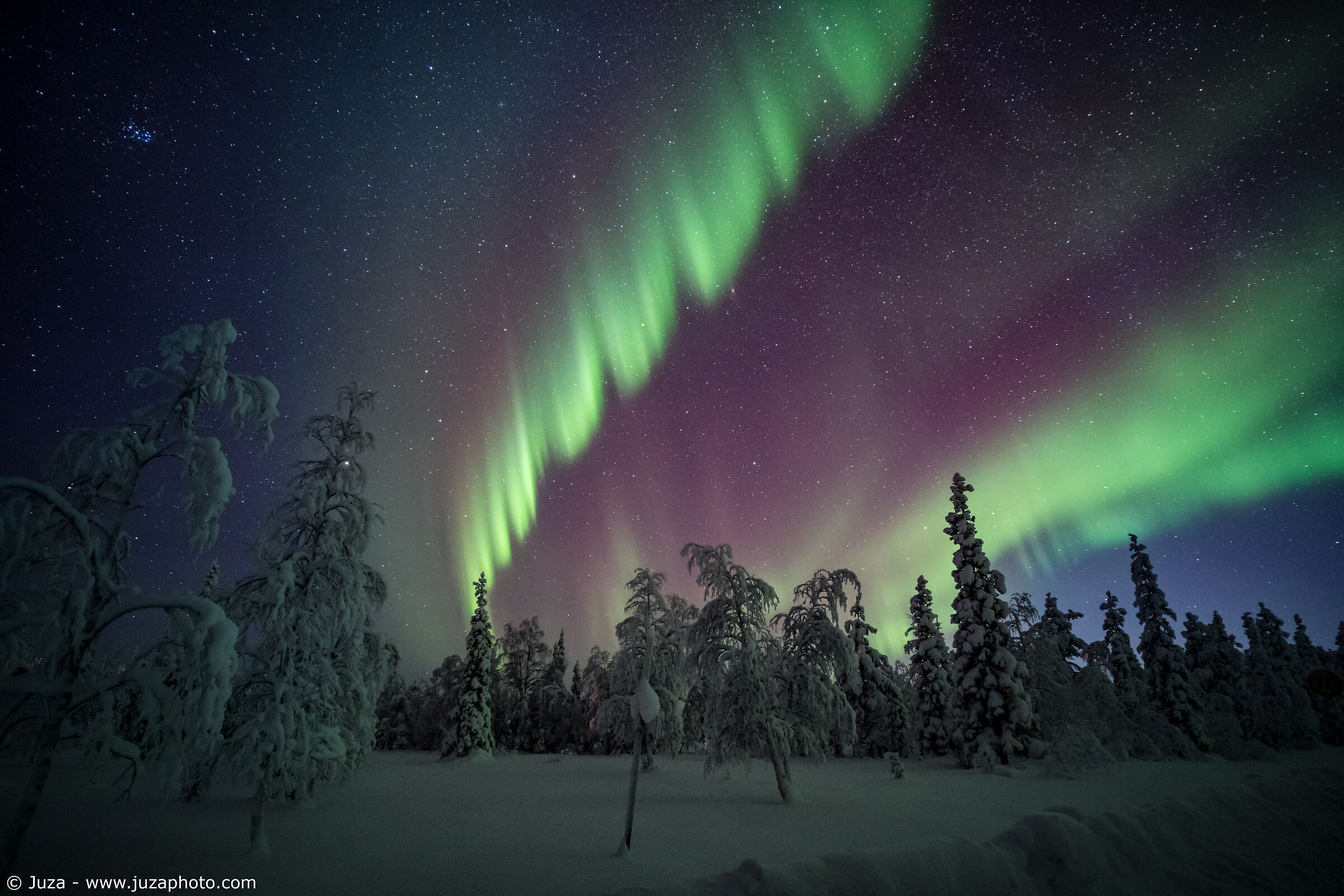 The Northern Lights on the Swedish forest