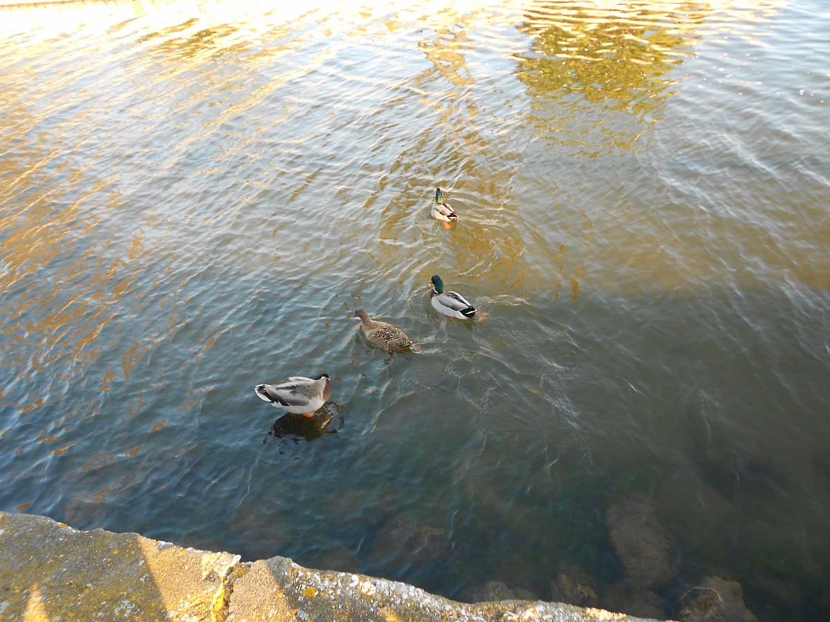 Four here, to there! : D