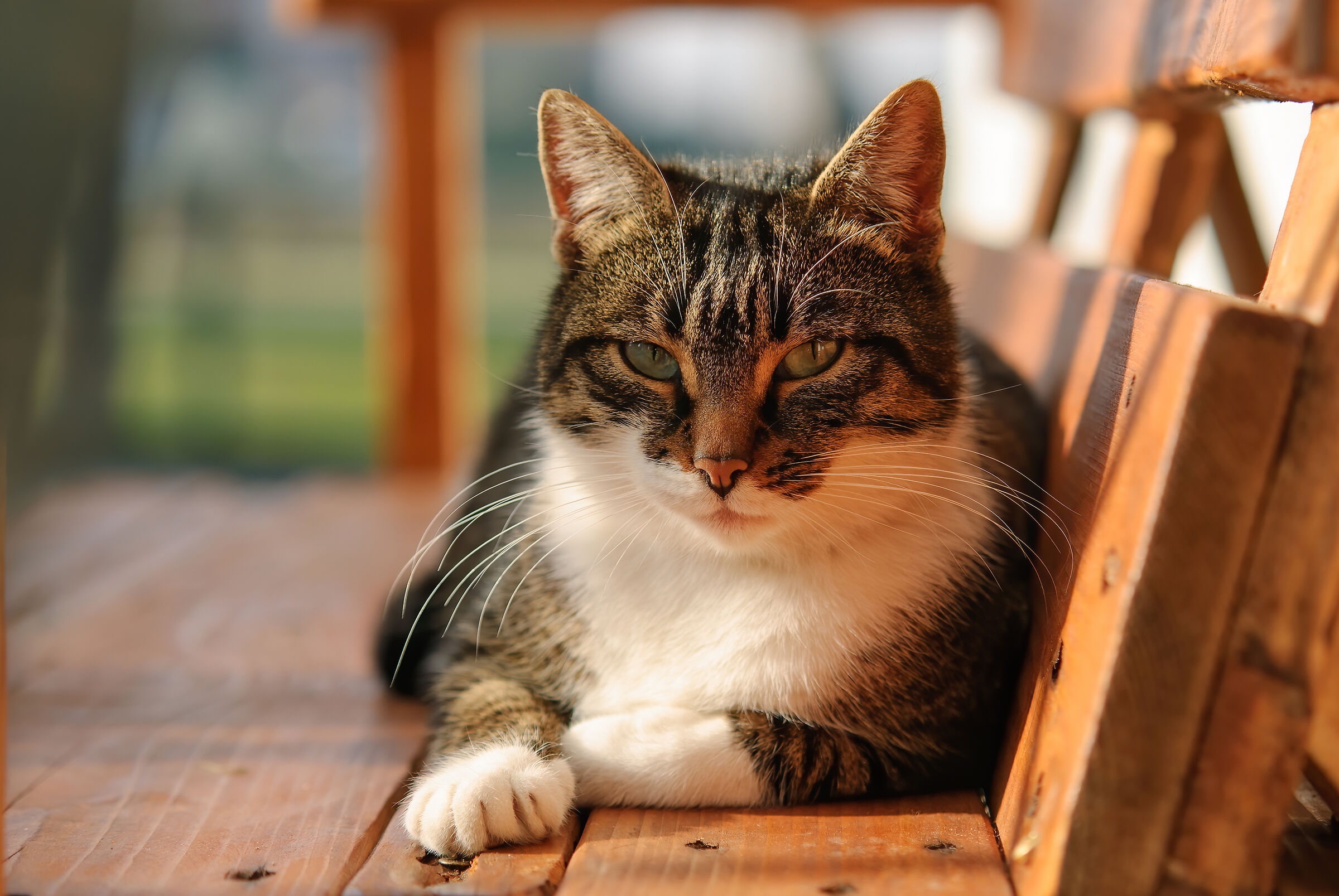 In posa per tutti noi