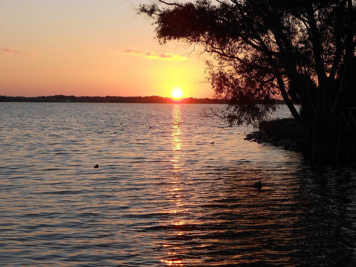 The sun steals the tree.