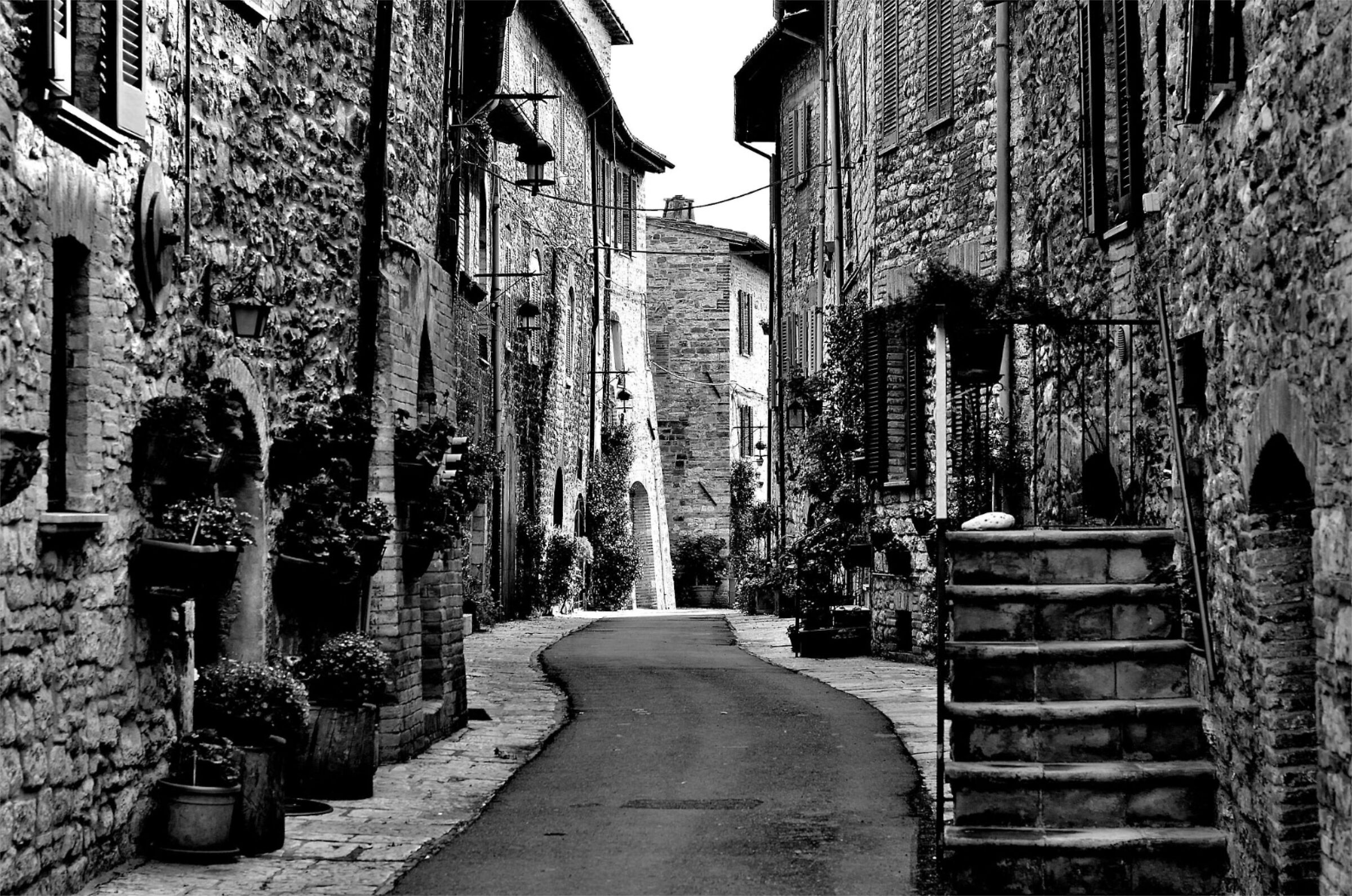 Assisi