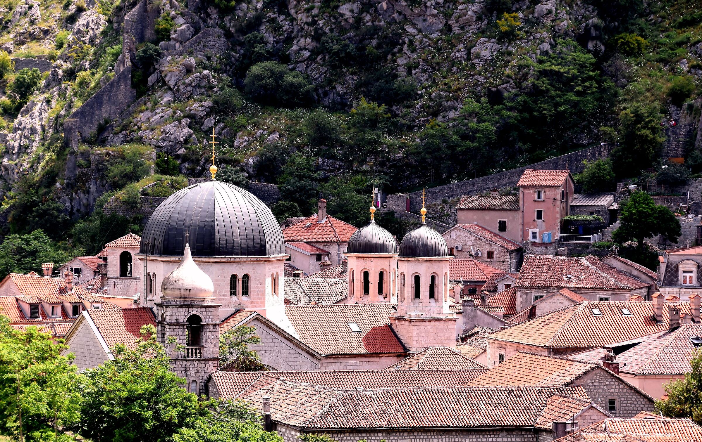 Kotor