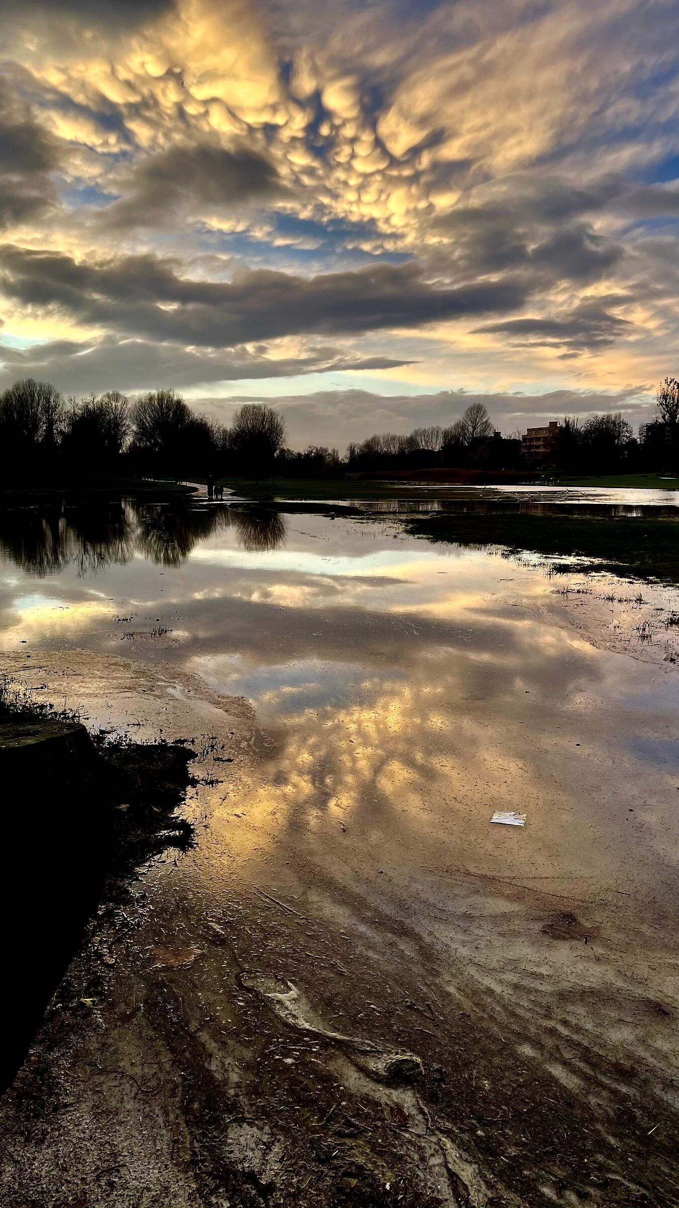 Questione di riflessi