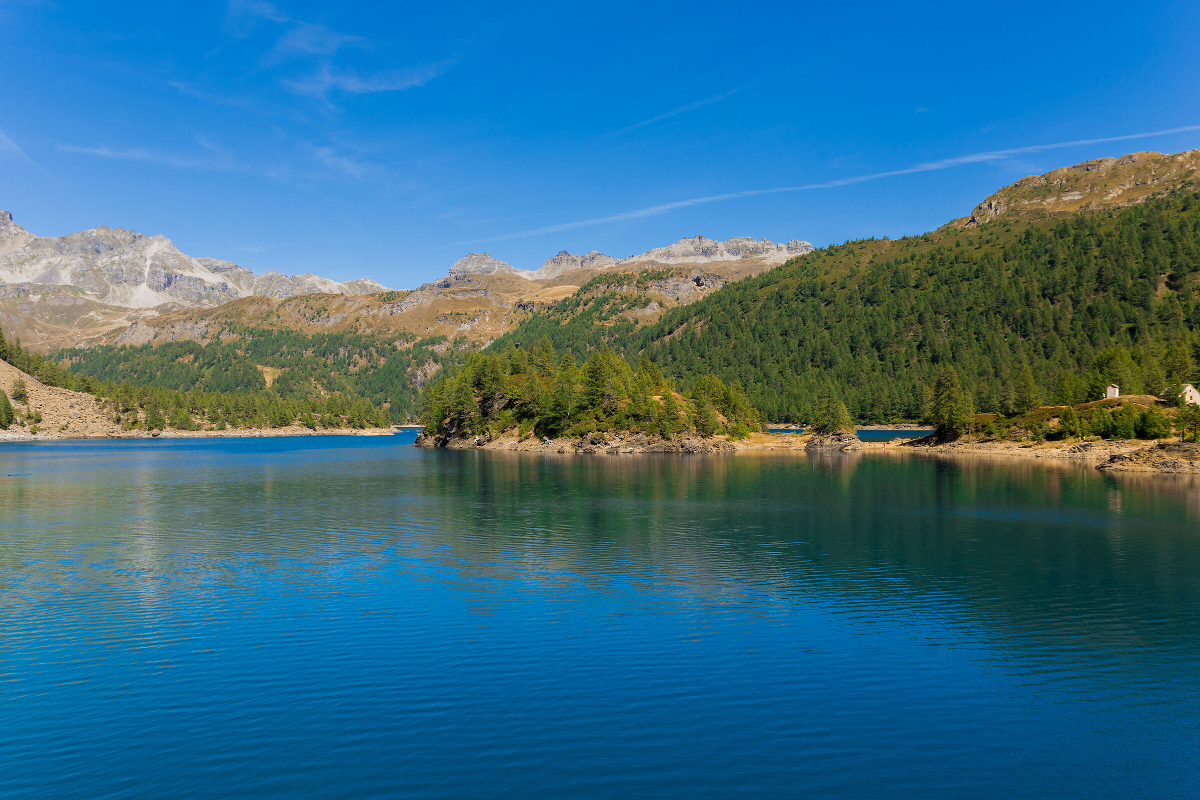 Lago di Codelago, Ossola